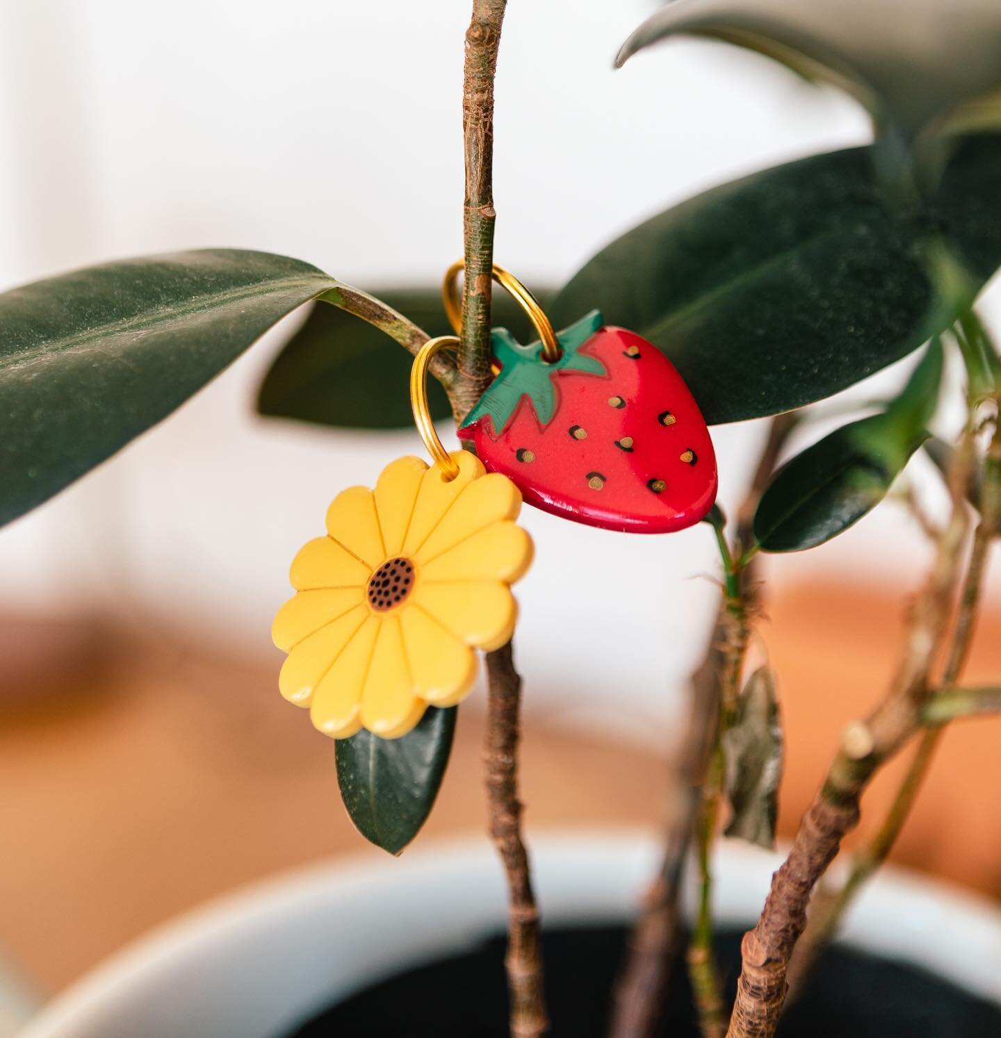 Meet the strawberry and sunflower pet tags! 🌻🍓

These are two of four new tags that will be on the website for our release on Sunday! These two will be permanent additions to our tag lineup, while the others will only be available until the end of 