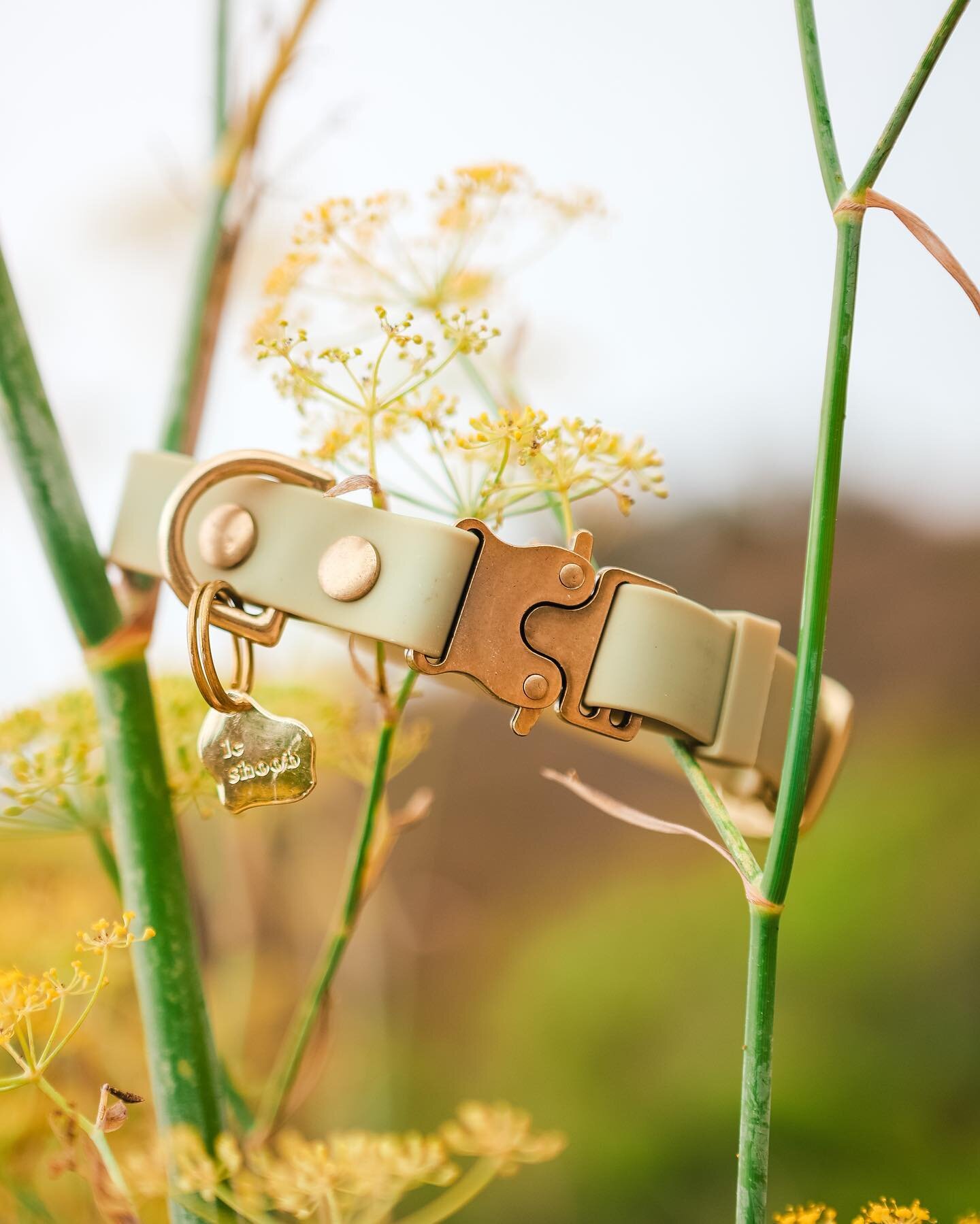 Meet ✨matcha✨, my favorite color of our wander webbing material! (For now🤪)

Matcha is a sage green that looks beautiful with our brass hardware and other webbing colors. This was the first color I decided on when choosing colors for our new materia