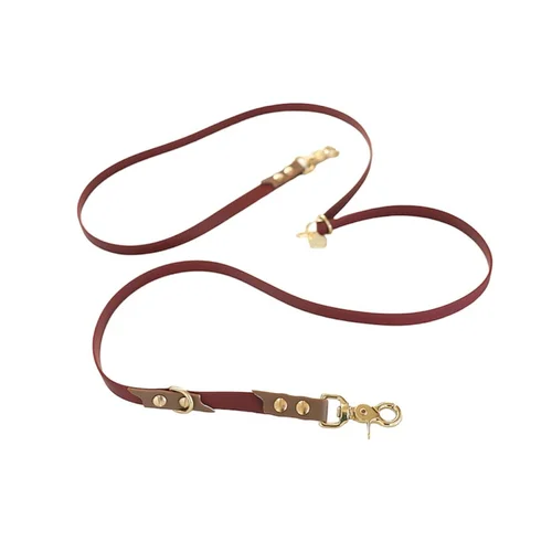 Custom leashes discount