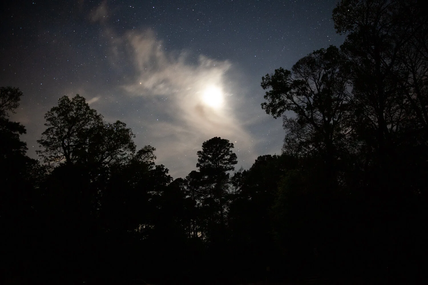 IMG_4090 copy.jpg