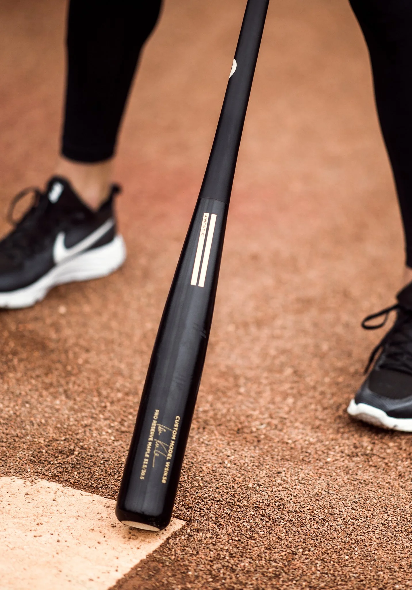 kinsler_bat_plate.jpg