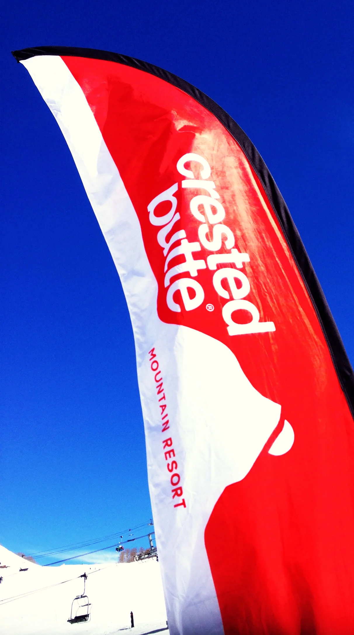 CrestedButte_skiResort_logo_design_onefastbuffalo.jpg