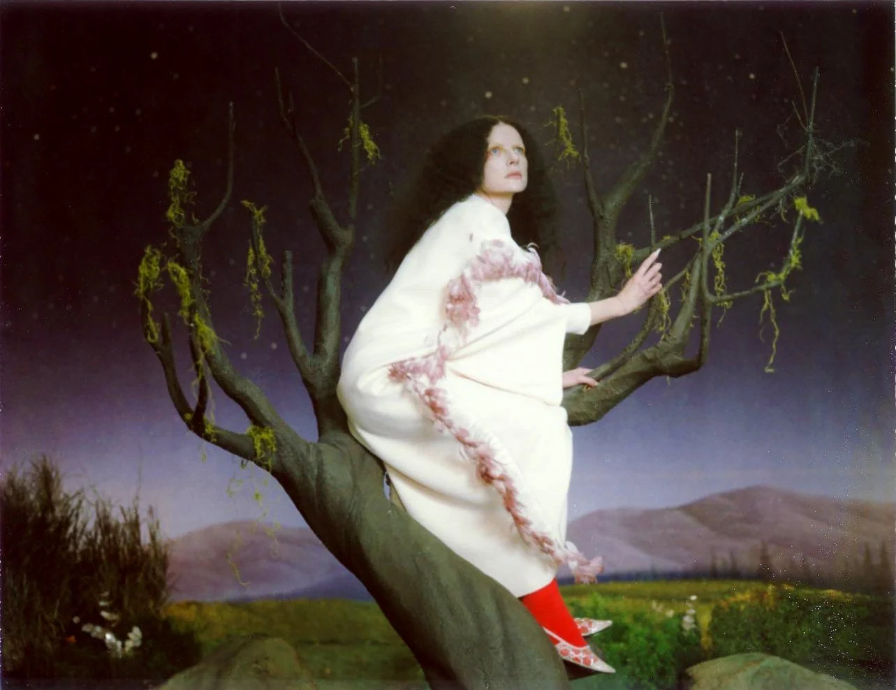 gucci_tree.jpg