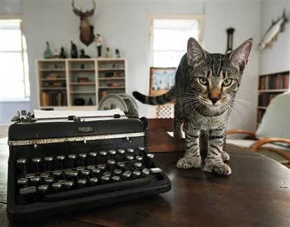 hemingwaycat.jpg