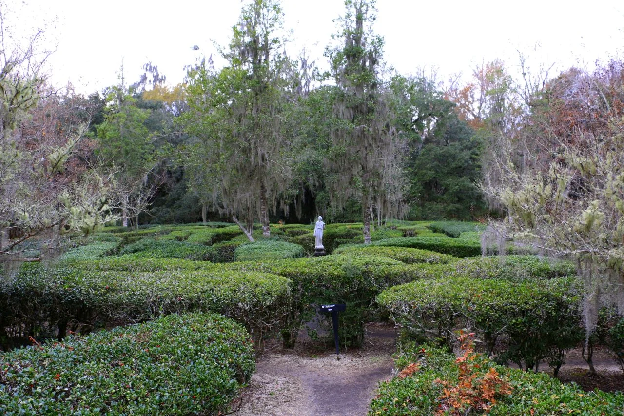 IMG_1682.jpg