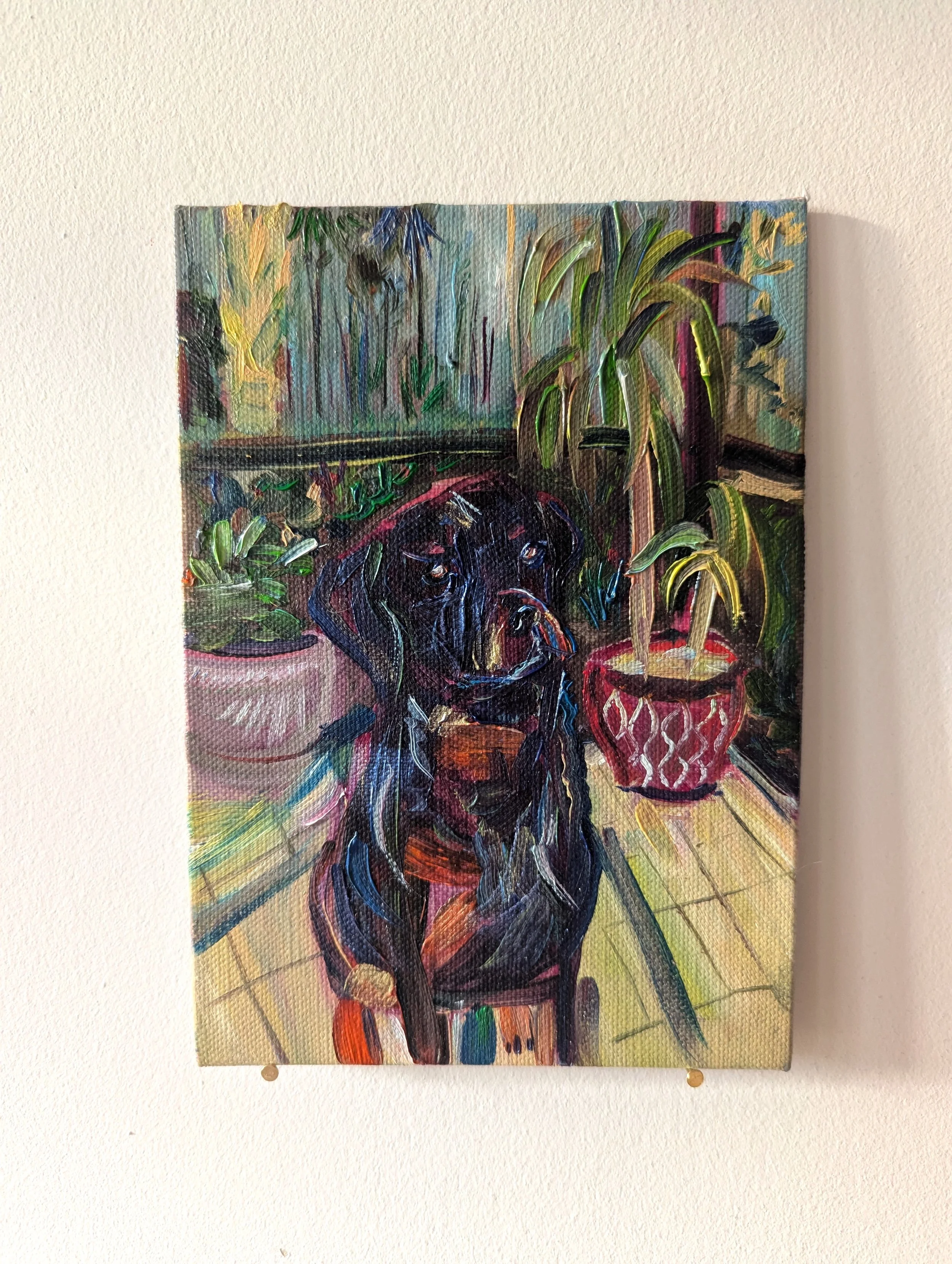 Day 75: "Keewah", 5 x 7 in, Oil on Linen Panel, 2025