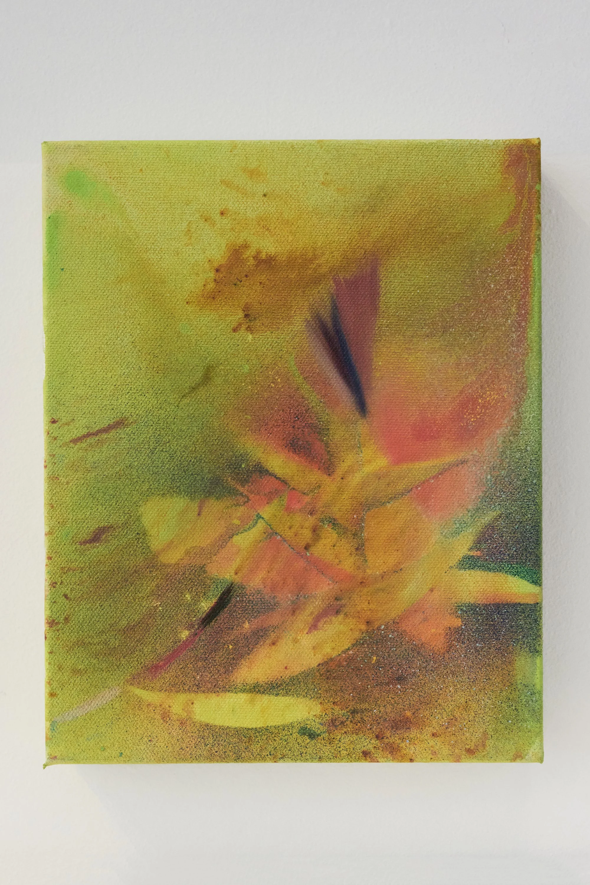 embrace it and radiate, 2025