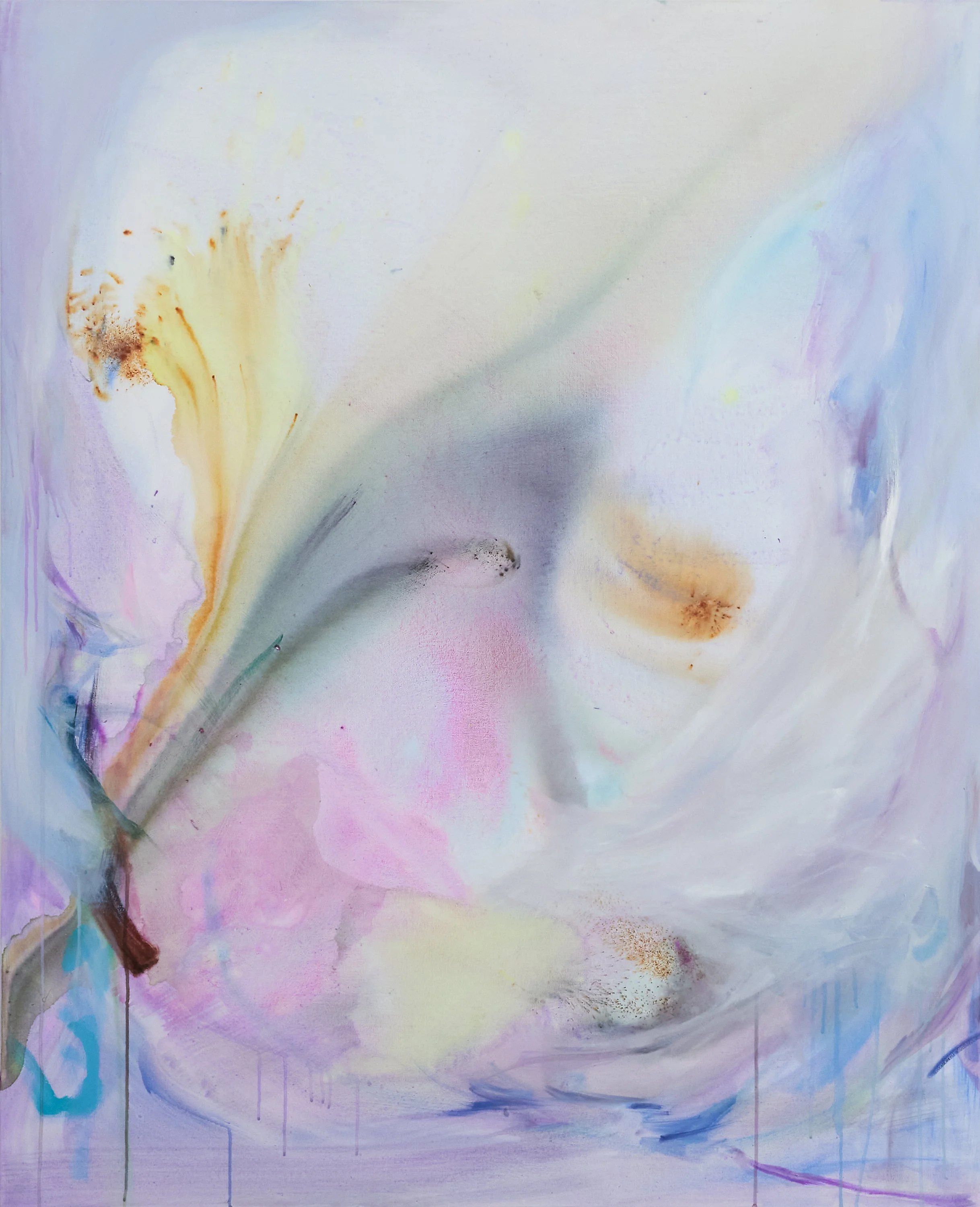 the wisdom from spring ephemerals, no. 1, 2025