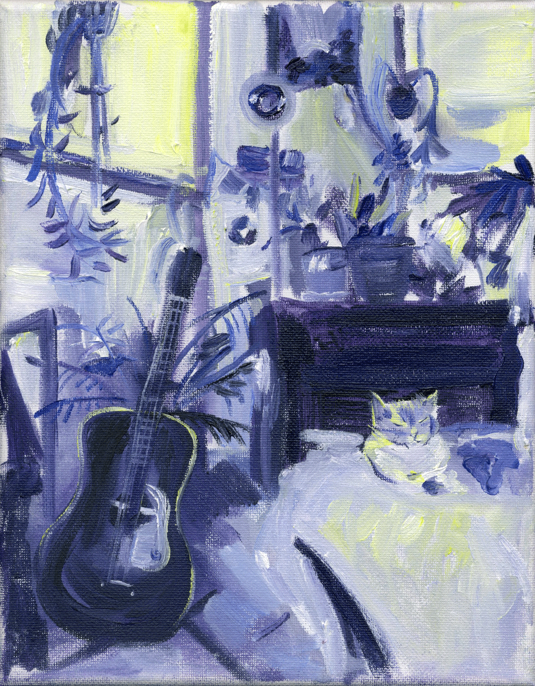 kitty siesta 1, 2024