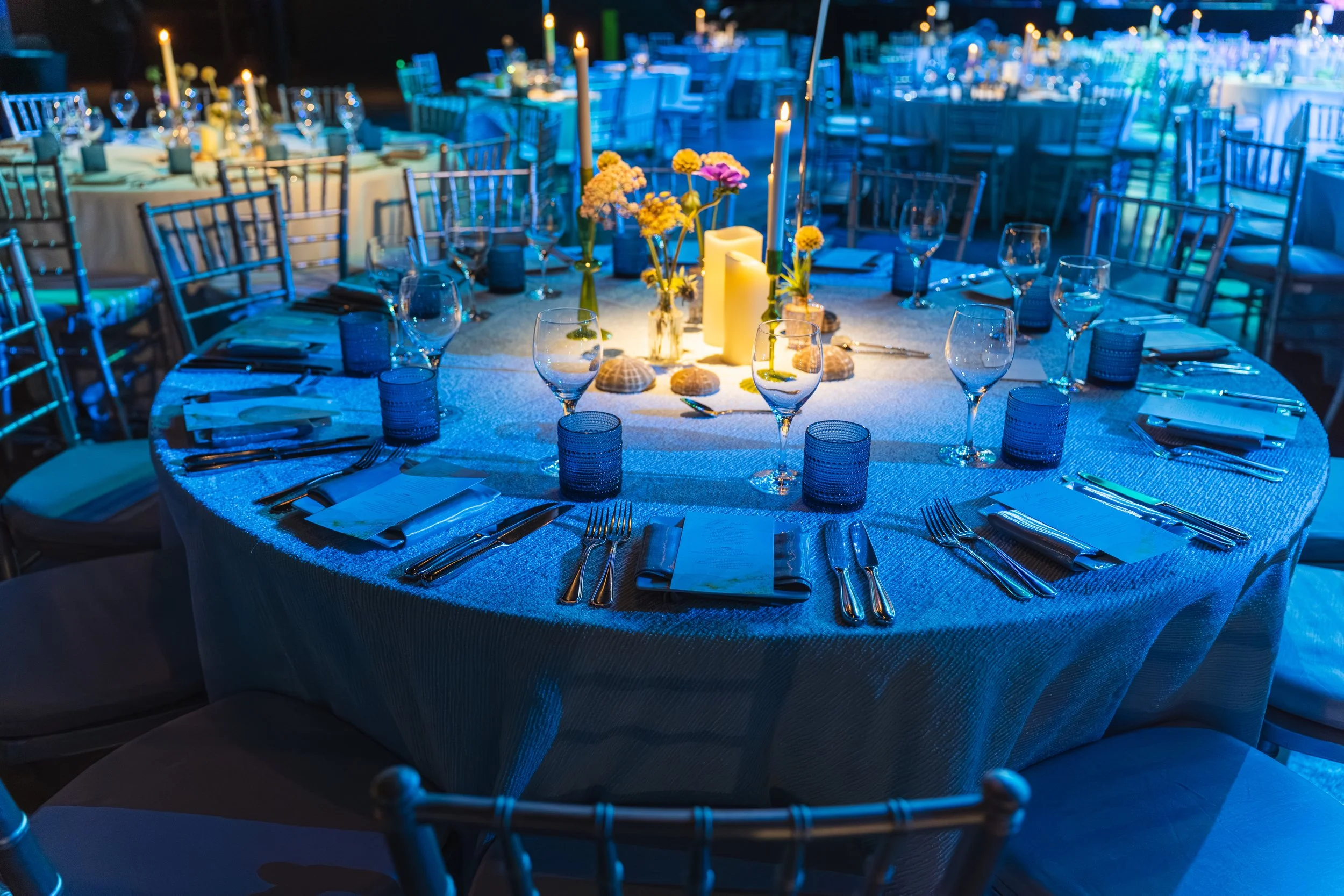 BROOKLINE GALA (2025)