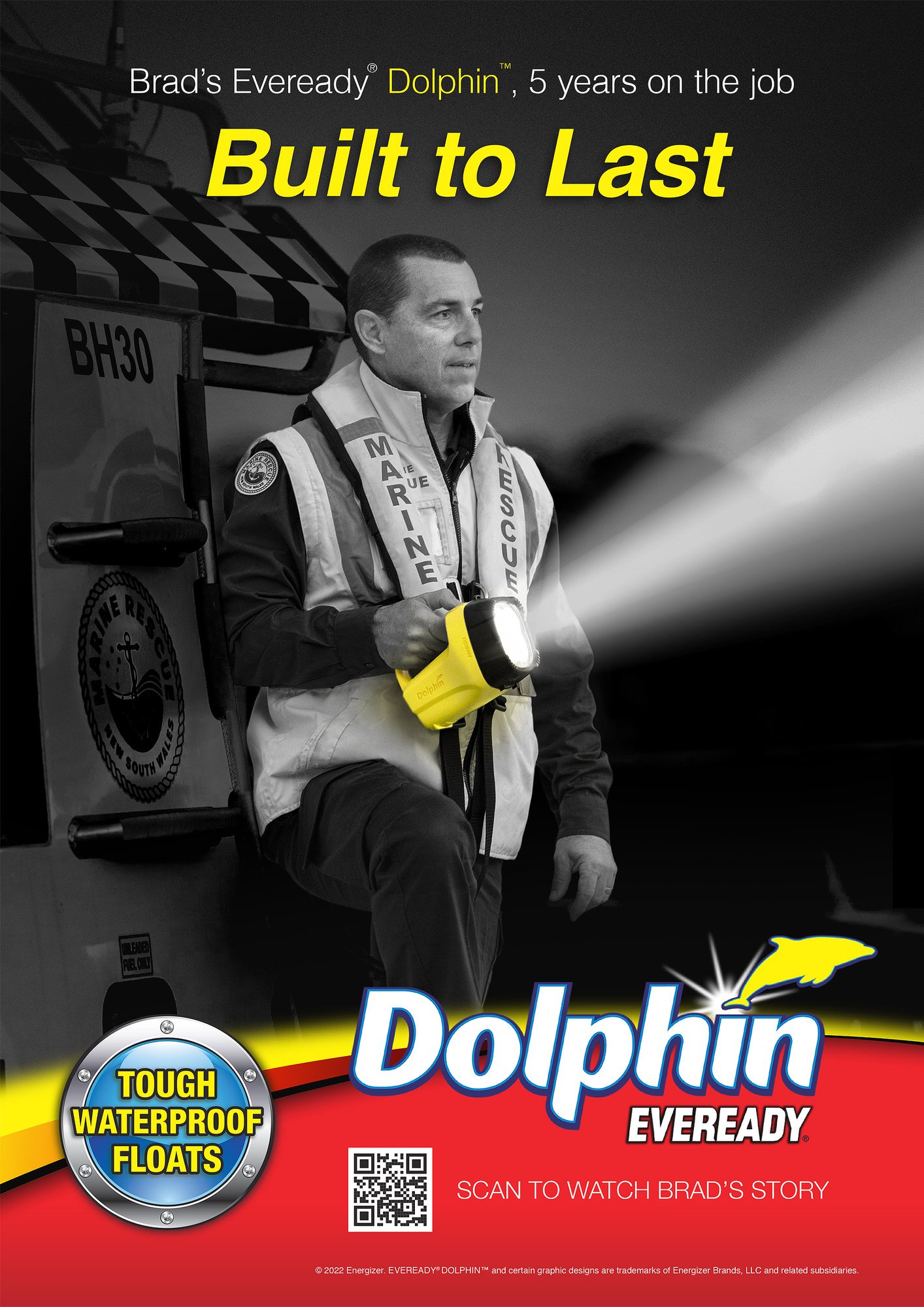 Dolphin02.jpg