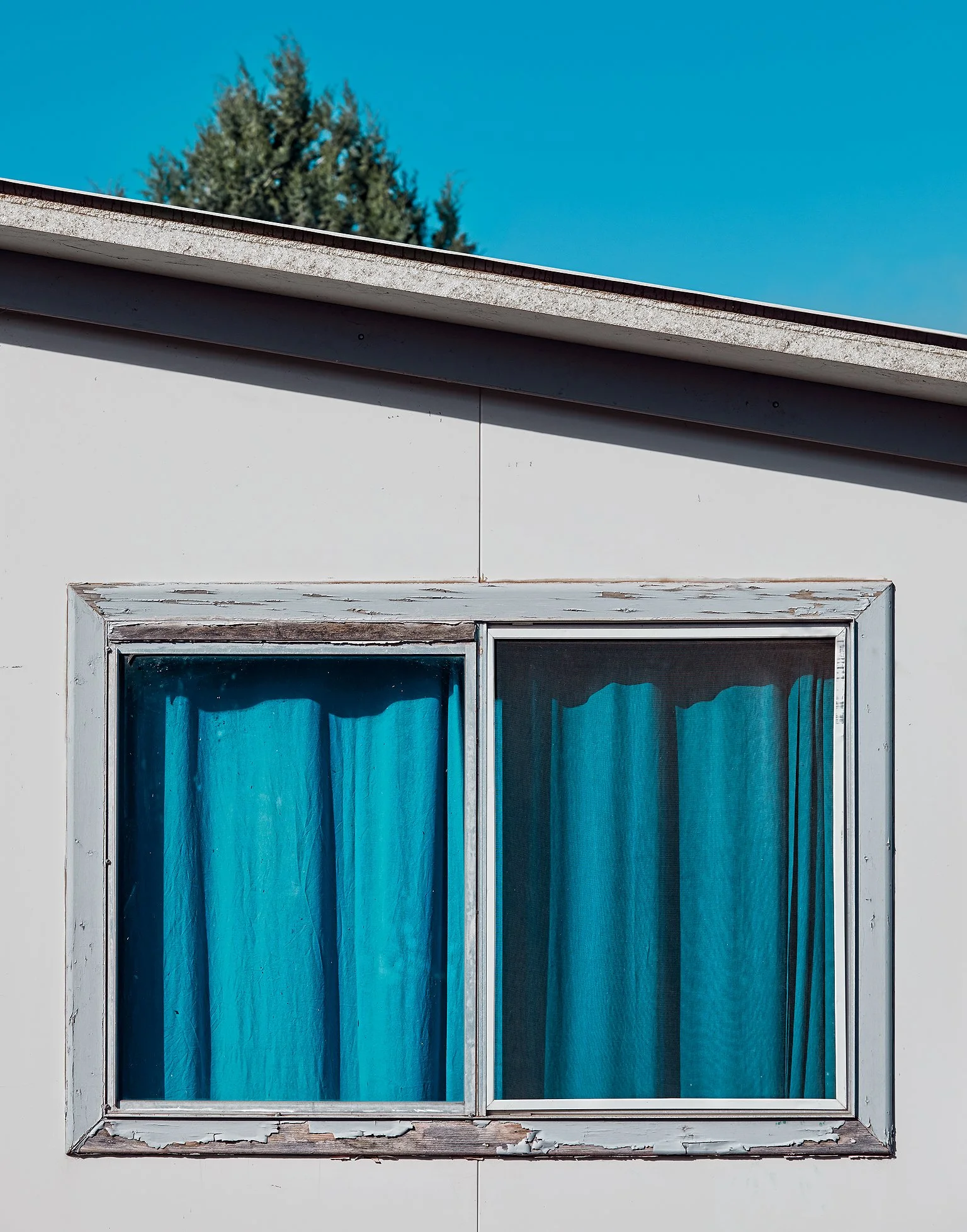 coolamon09.jpg