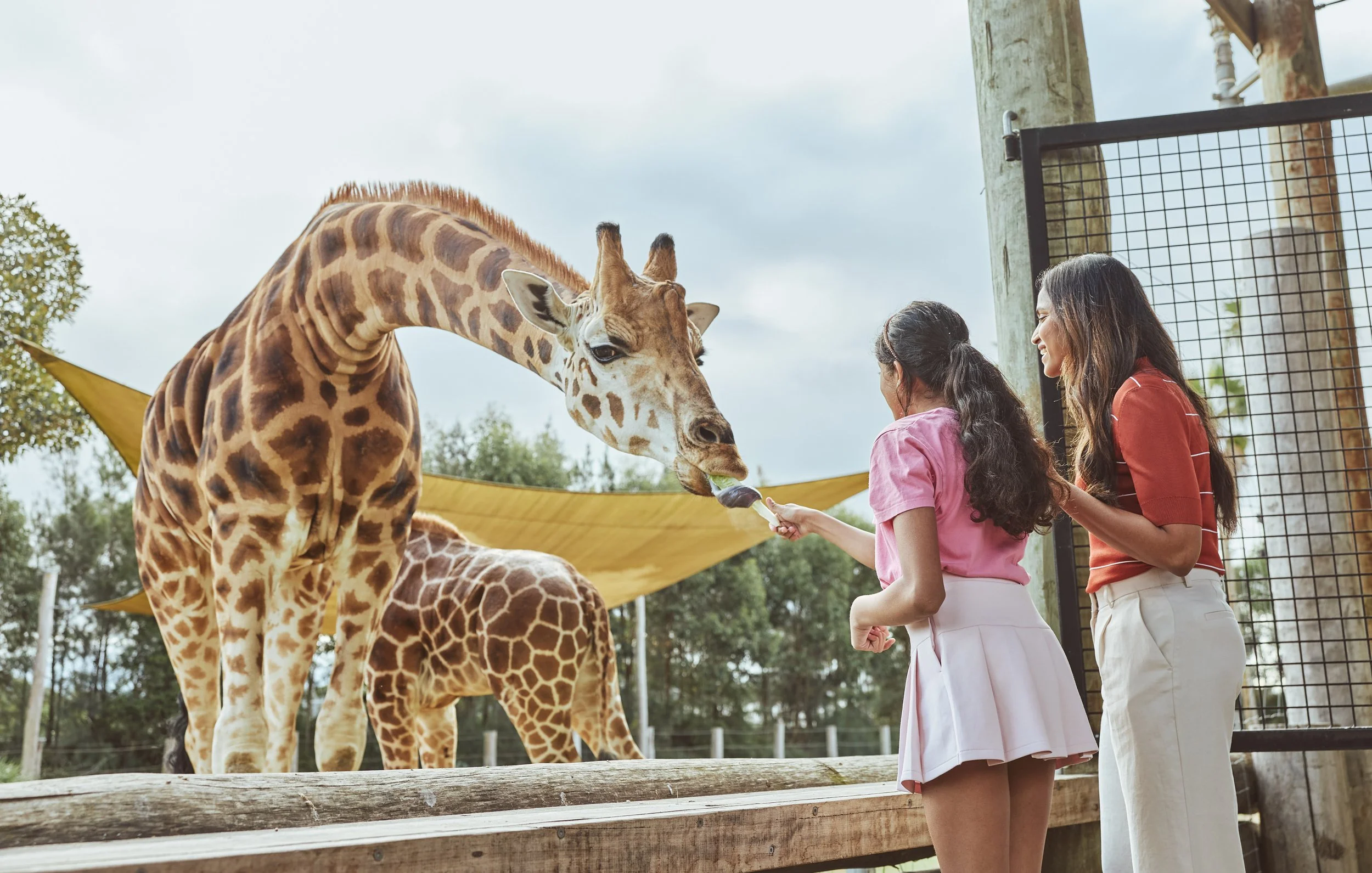 Sydney_20260708_EasternCreek_SydneyZoo_CREDITDestinationNSW_JI_166.jpg