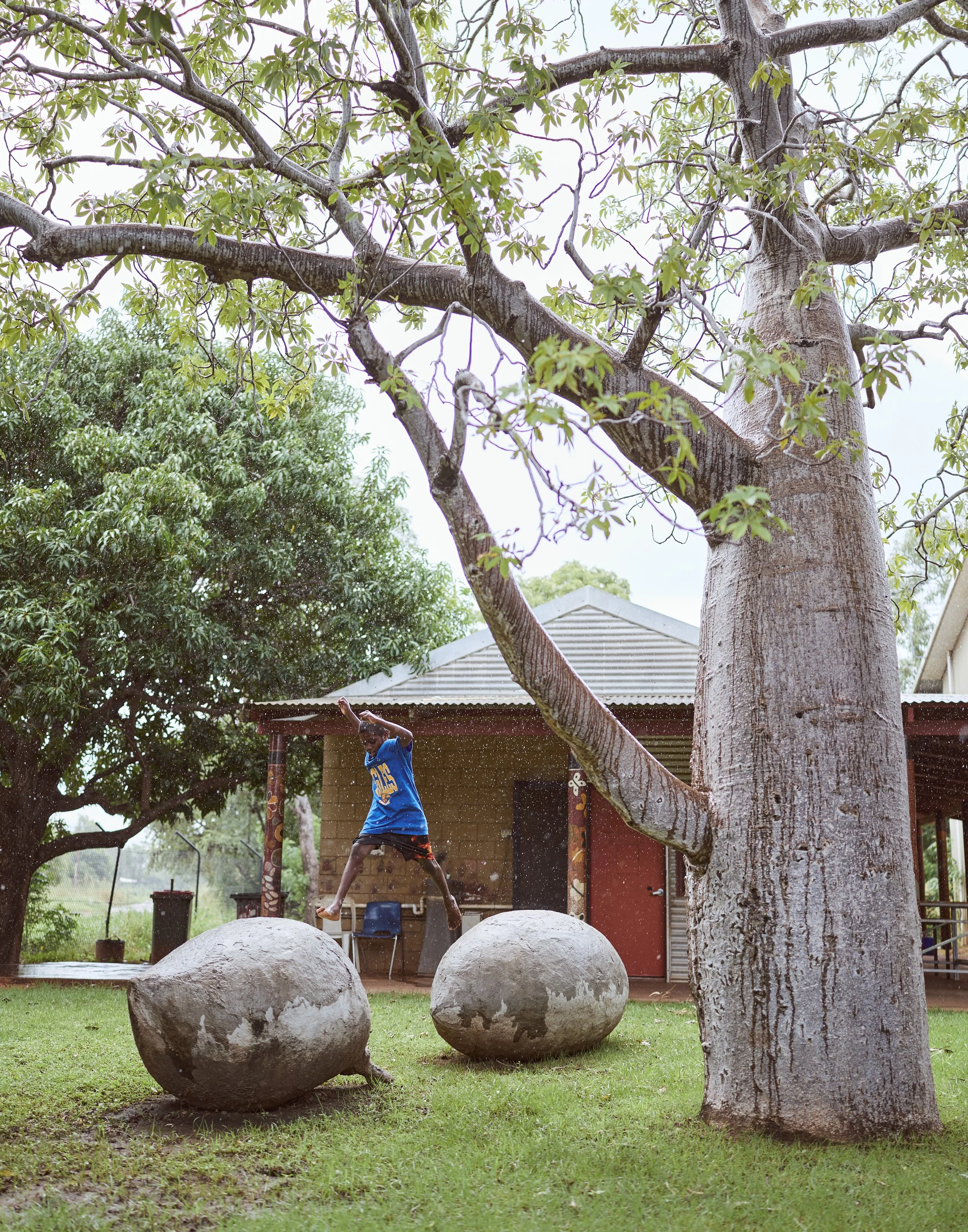 260326_AACHWA_MIR_Kununurra_WaringarriArts_608.jpg