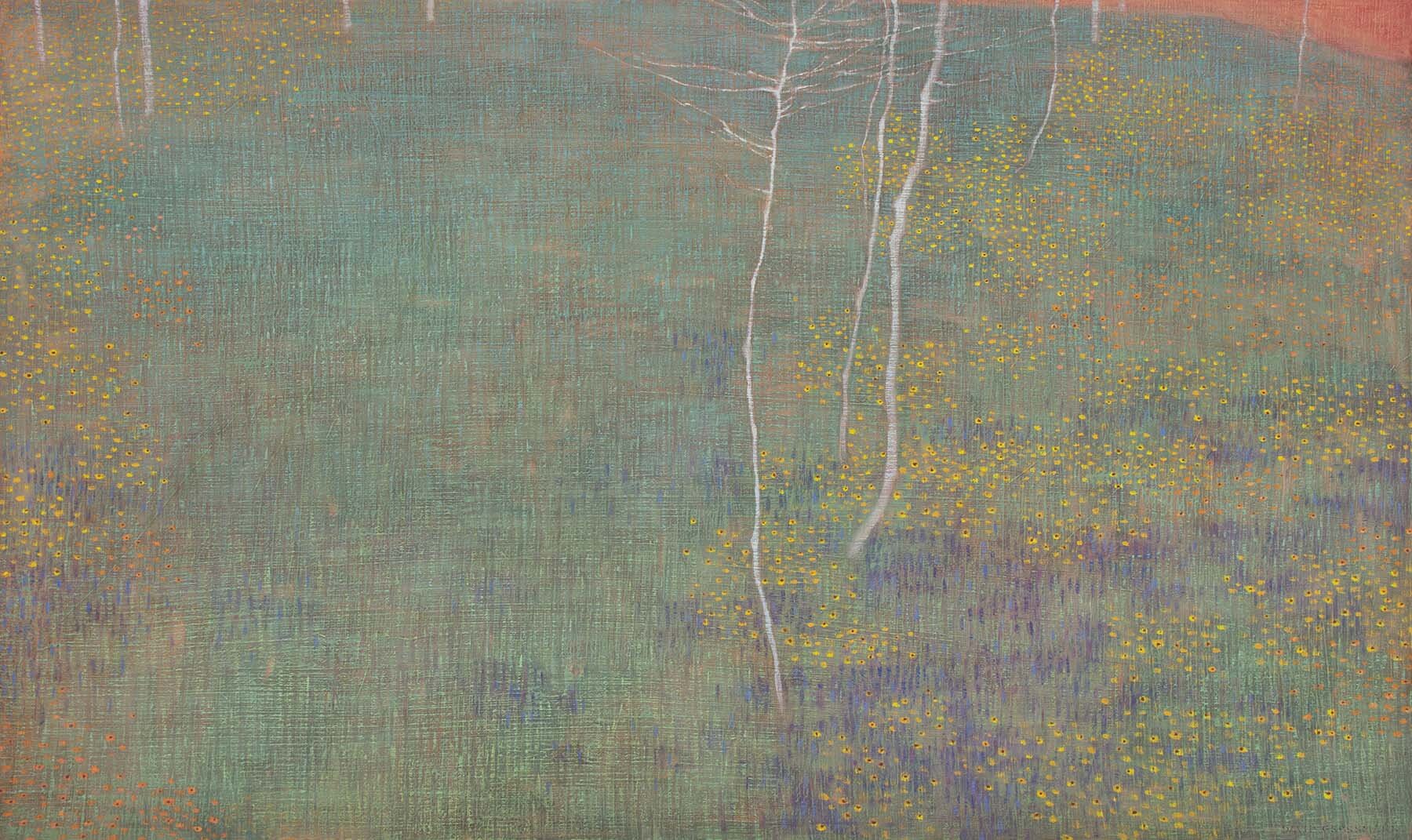 Dusk in the Wildflower Meadow.jpg