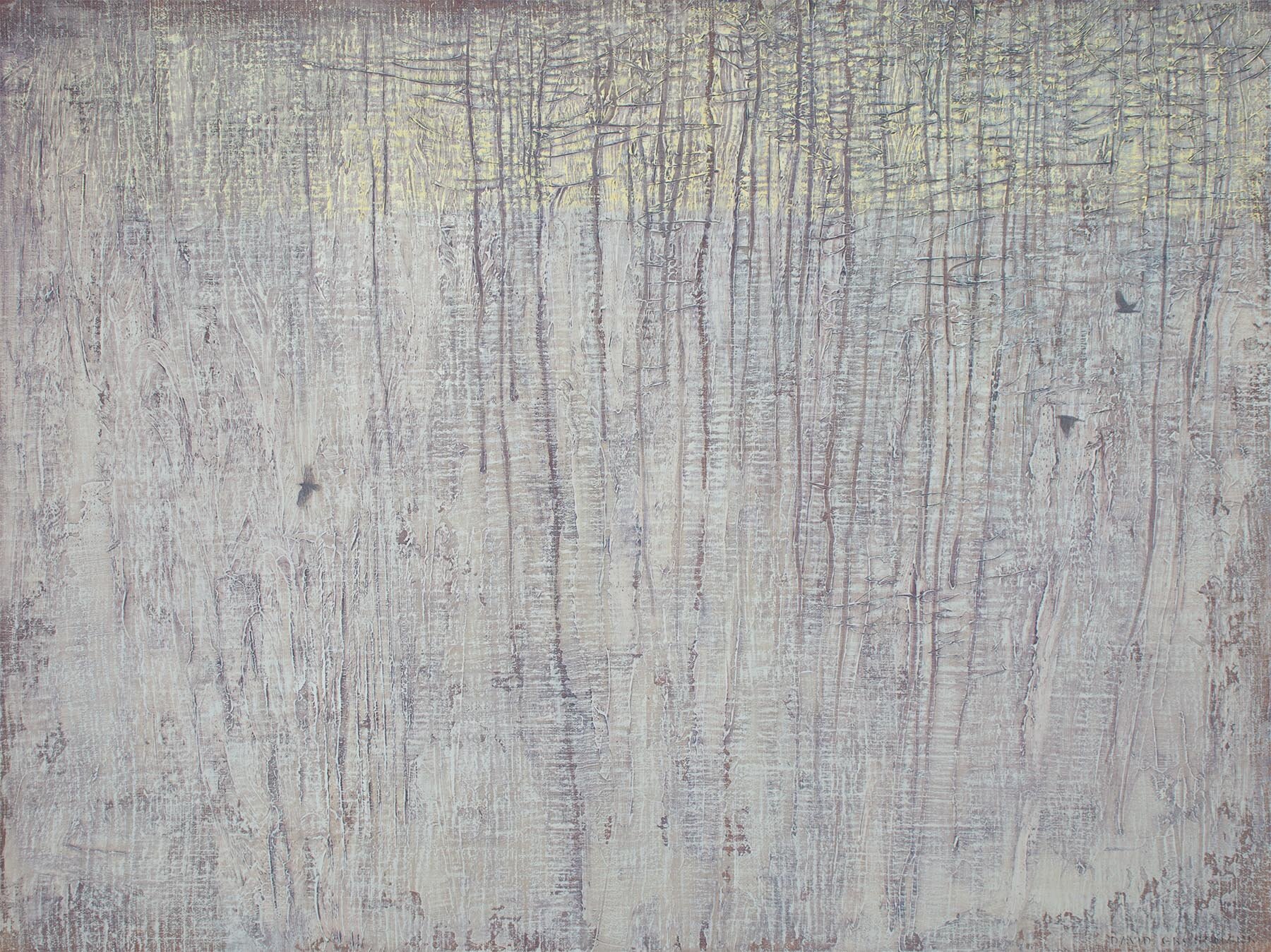 Winter Forest Textures.jpg