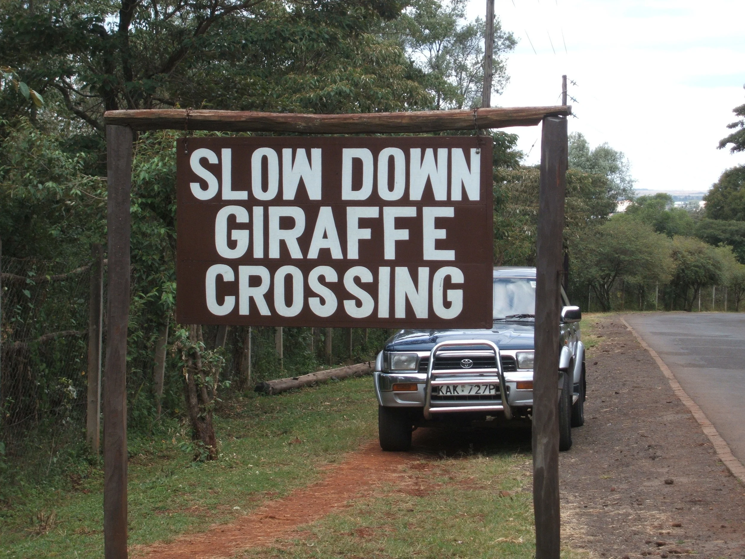 More progress! A new novel