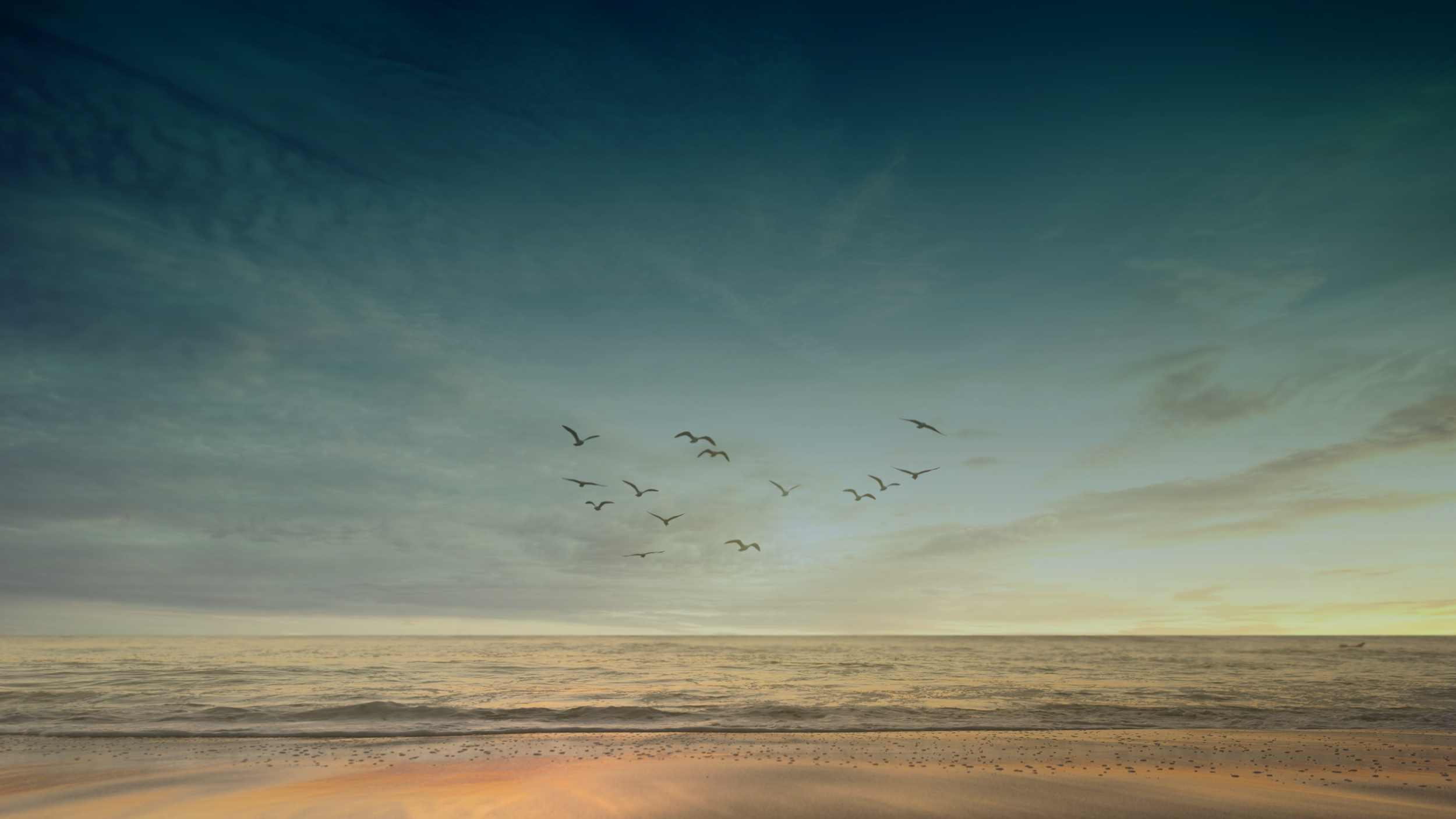 flying-birds.png