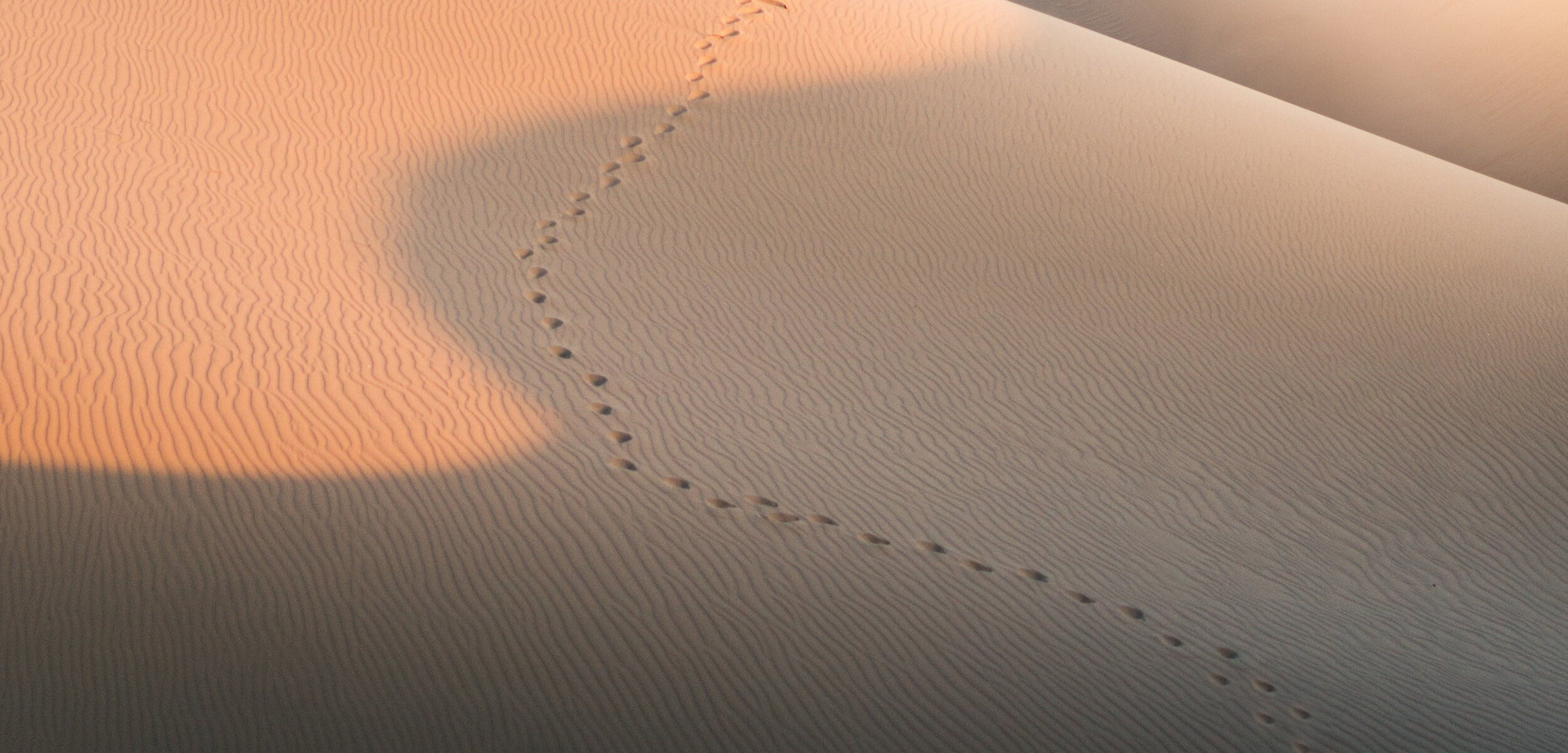 FOOTSTEPS.jpg