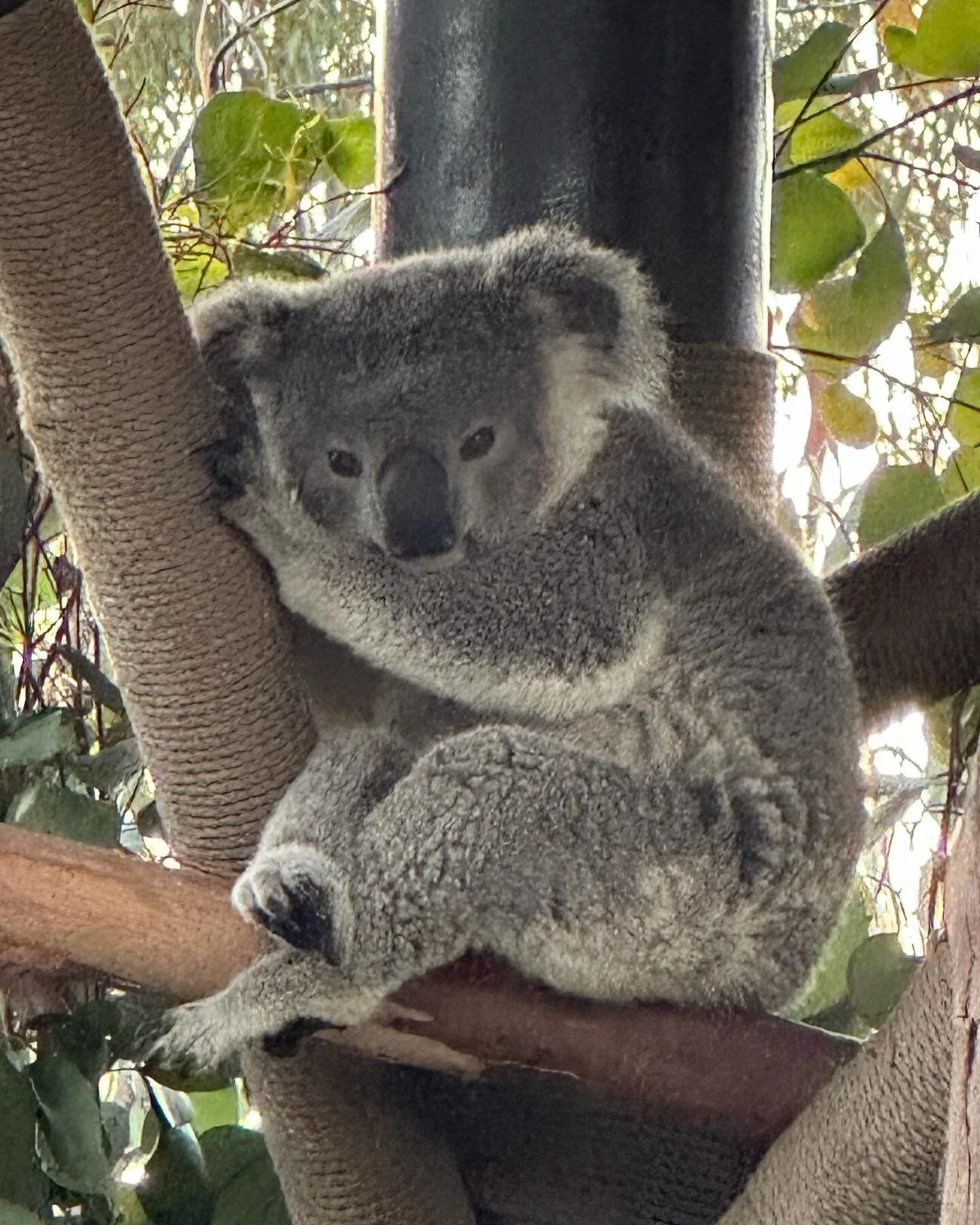 zoo day ☺️