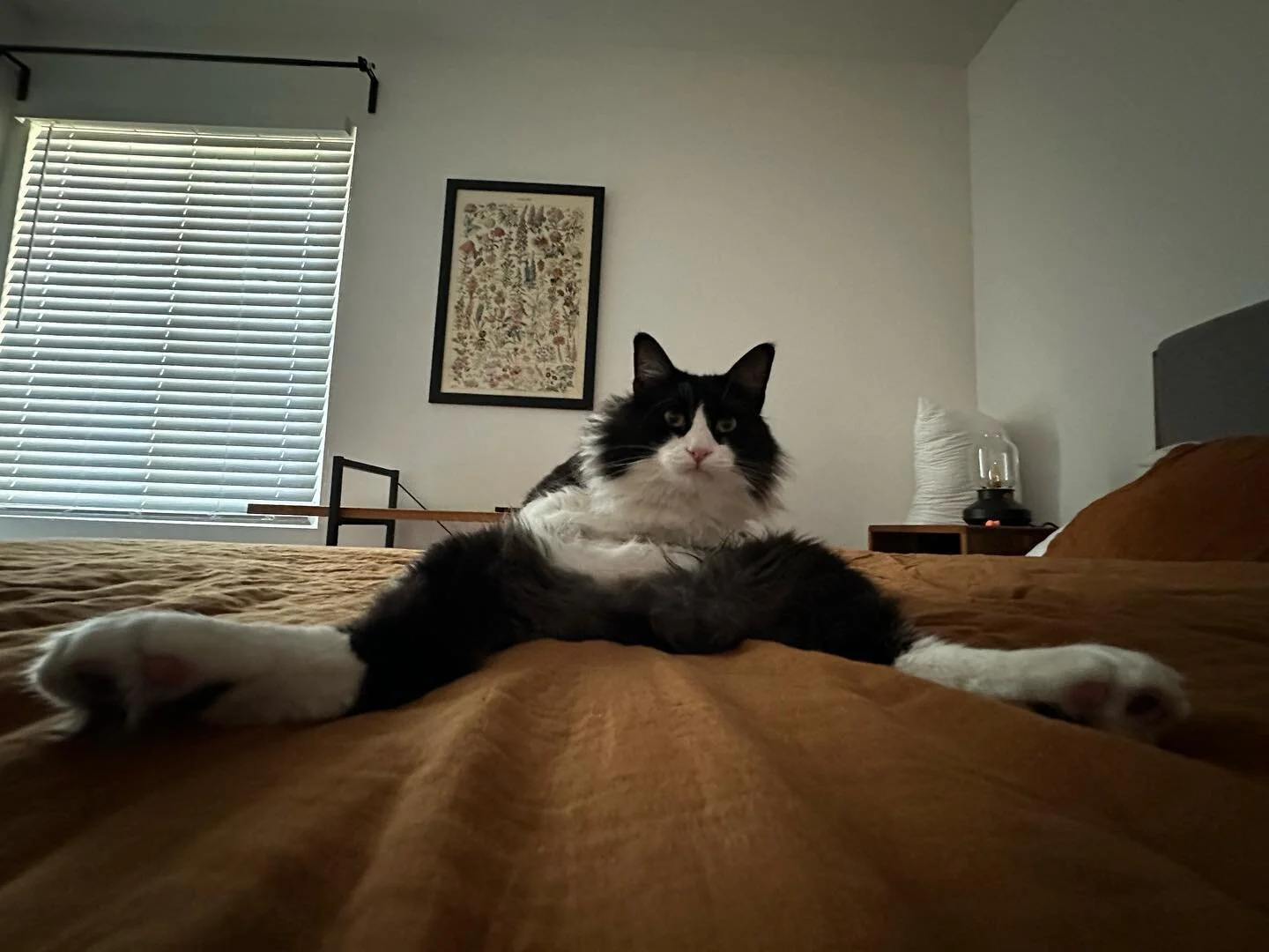 Just walked in on him like this idk