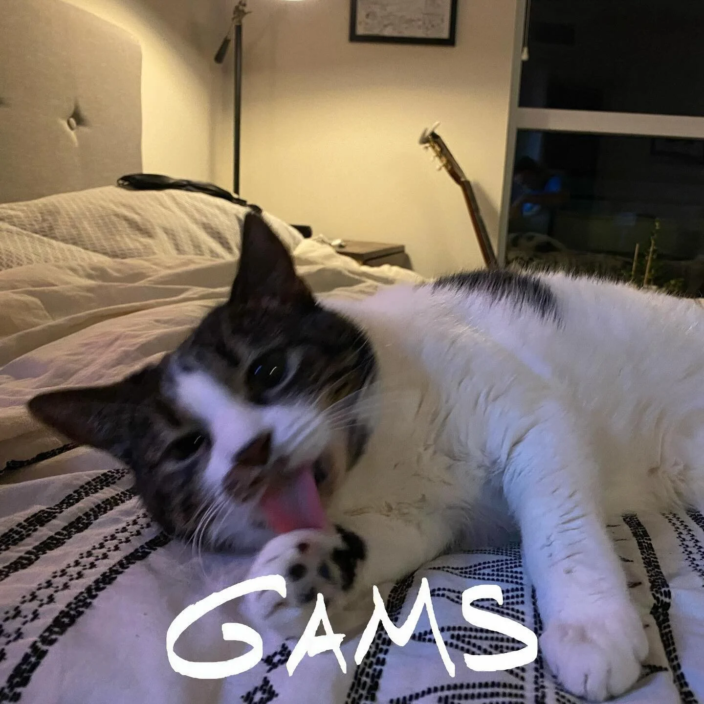 Gams is out!! Hope you like it - some old songs, some new ones, anyway I put a lot of myself in there. Love u all and lmk what your favorite is