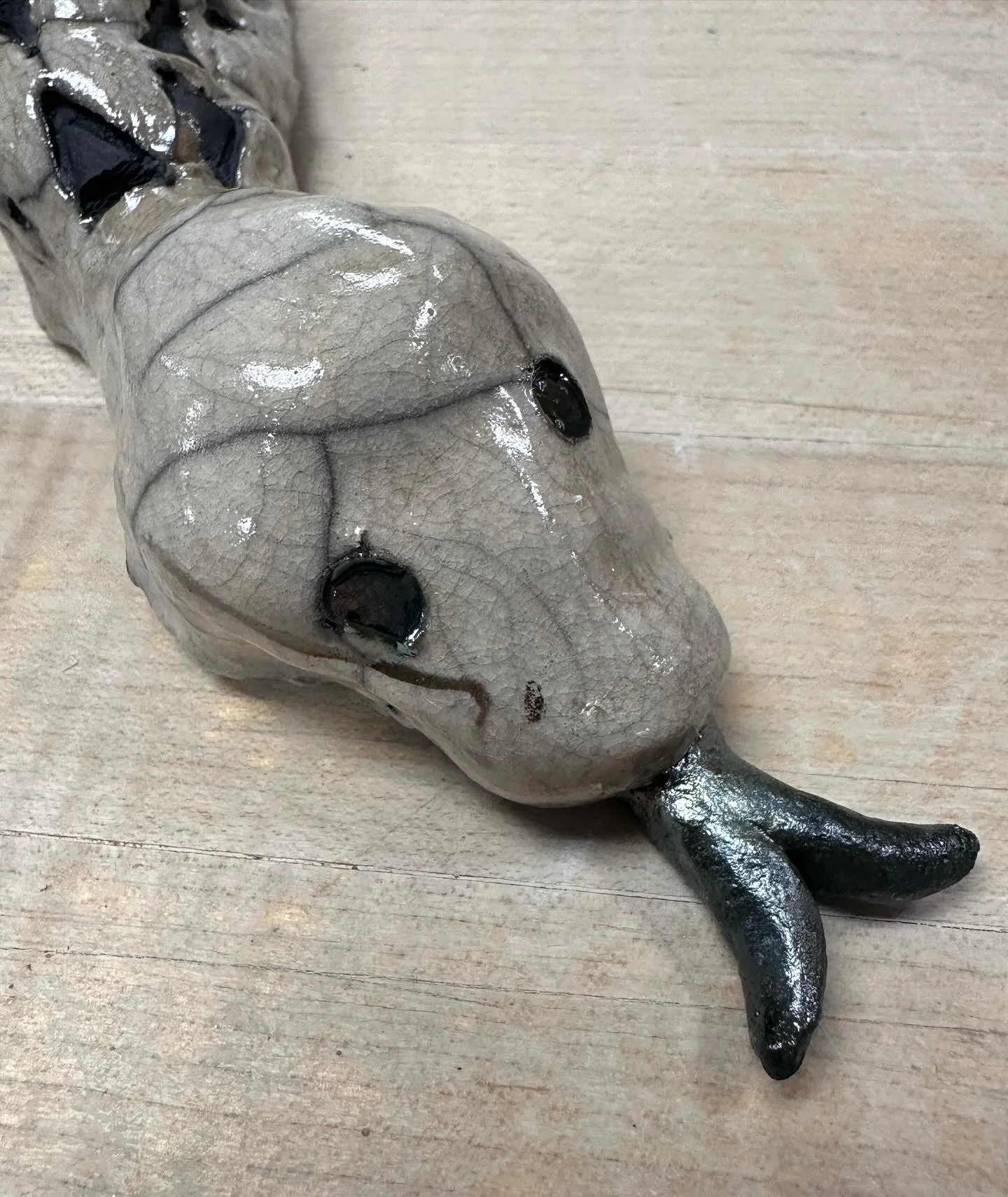 Snake (Close-Up)