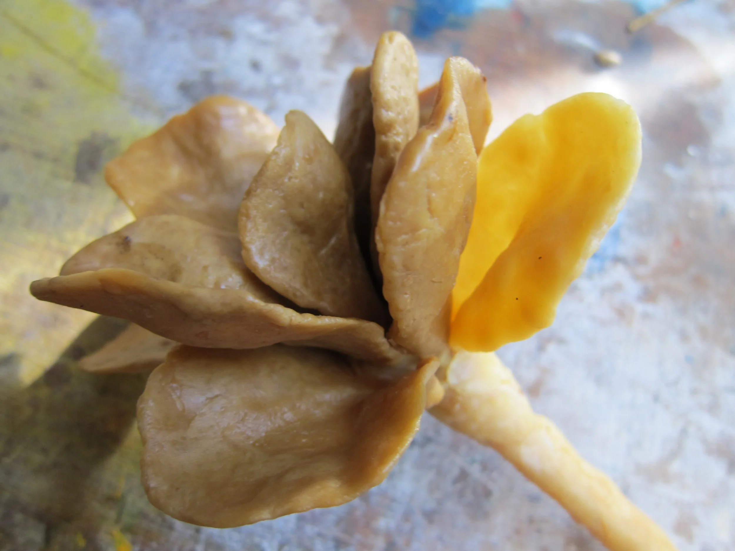 Loves Me, Loves Me Not (WIP)