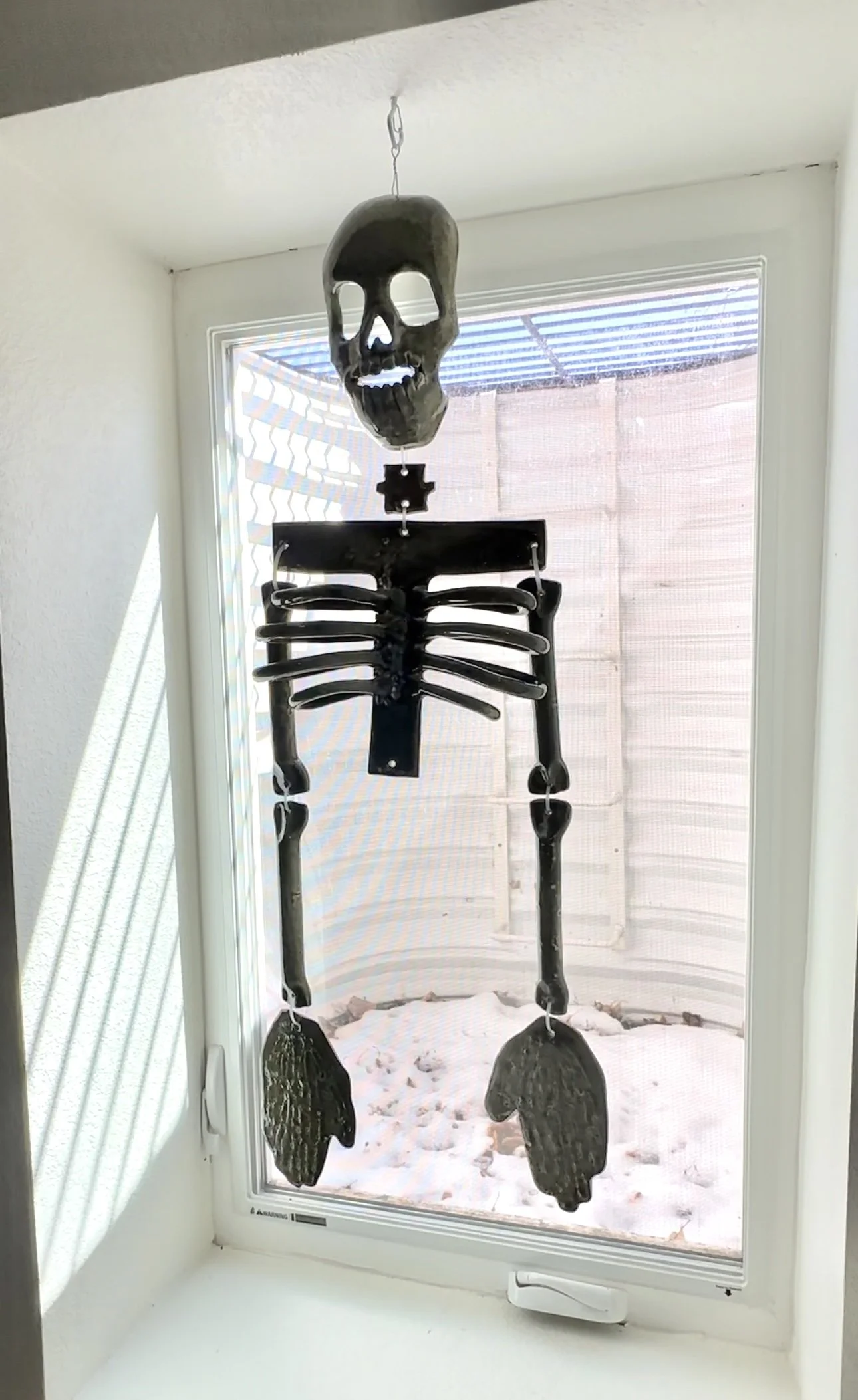 Skeleton
