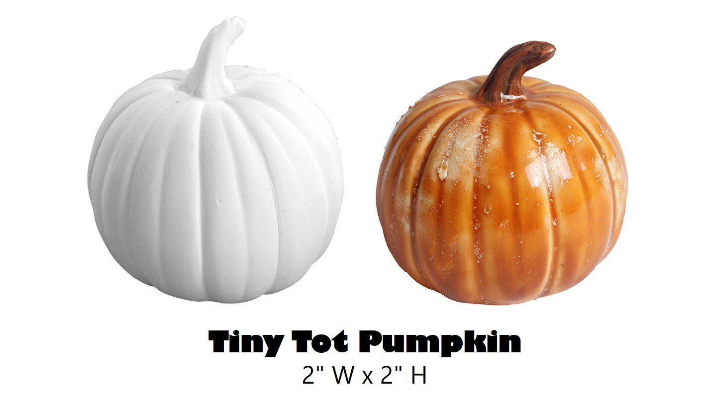 Tiny tot pumpkin.jpg