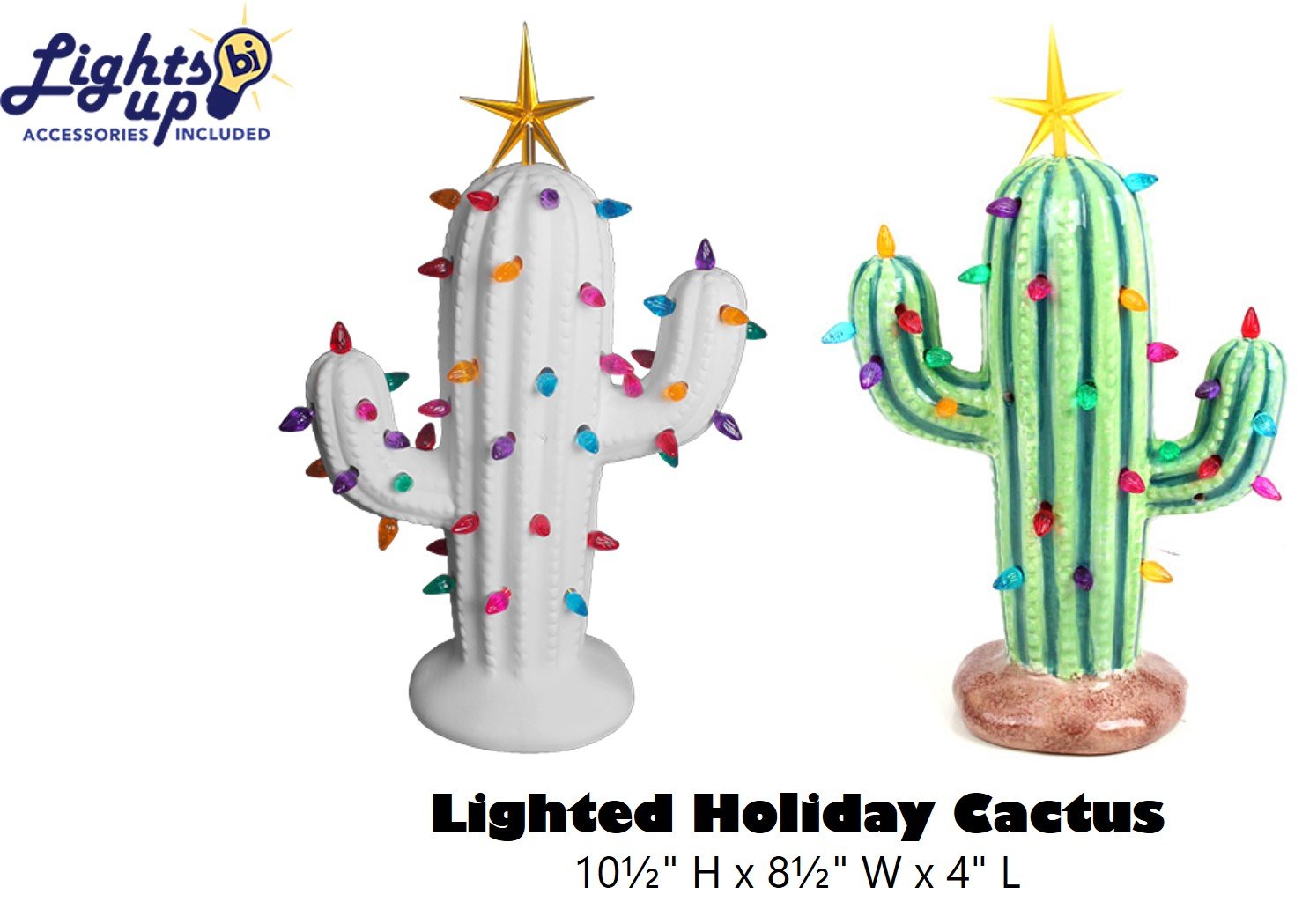 Lighted Cactus.jpg