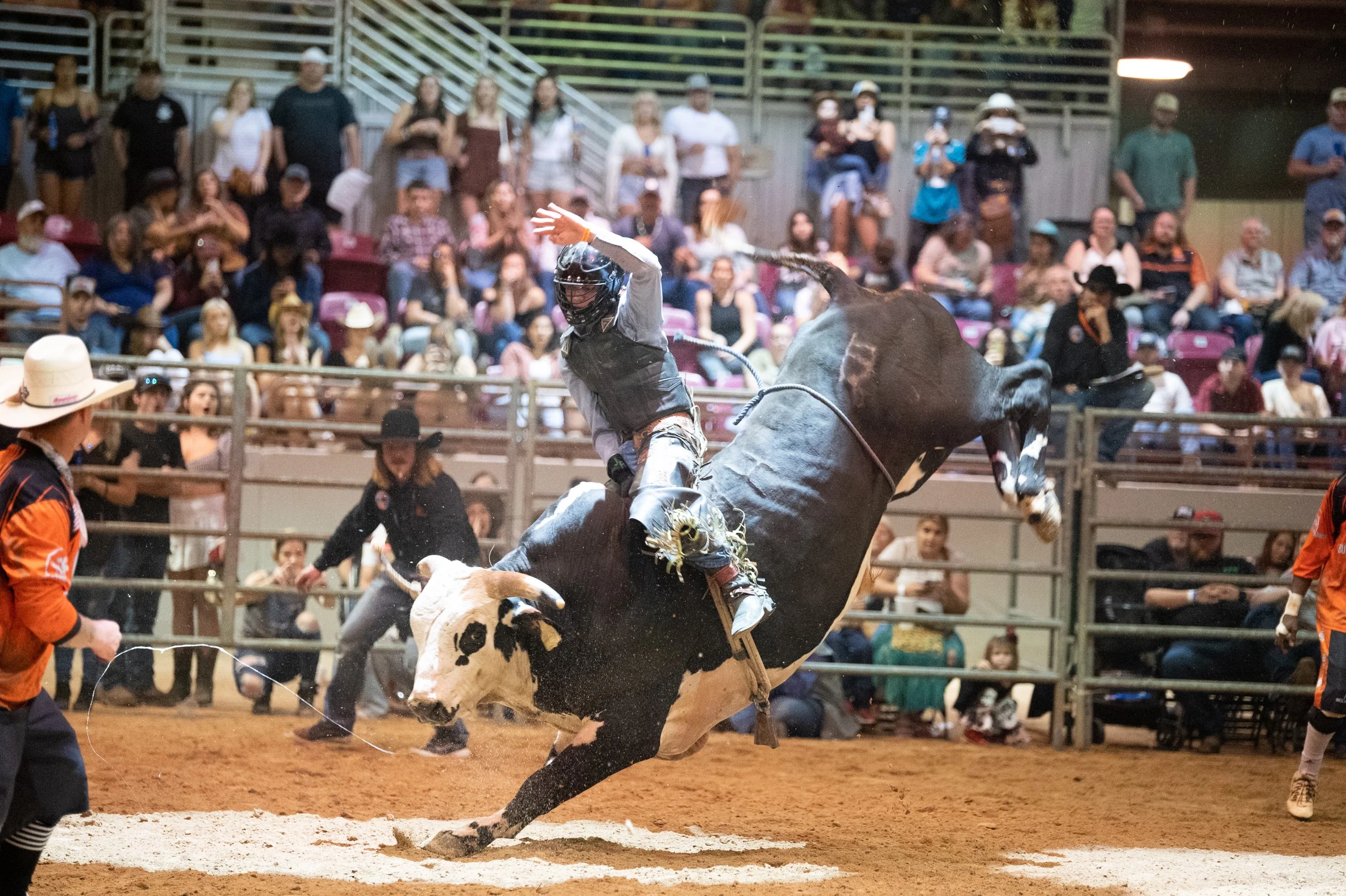 Copy of DSC_6301.jpg