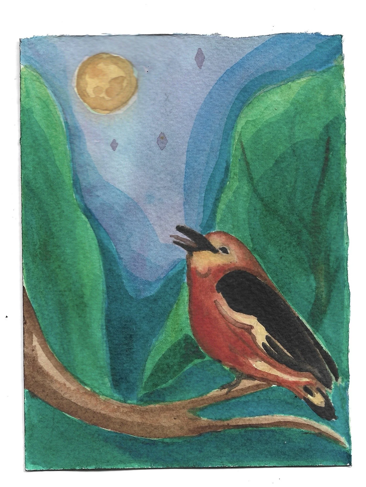 ✦ 12 ✦ Uirapuru e o canto de amor