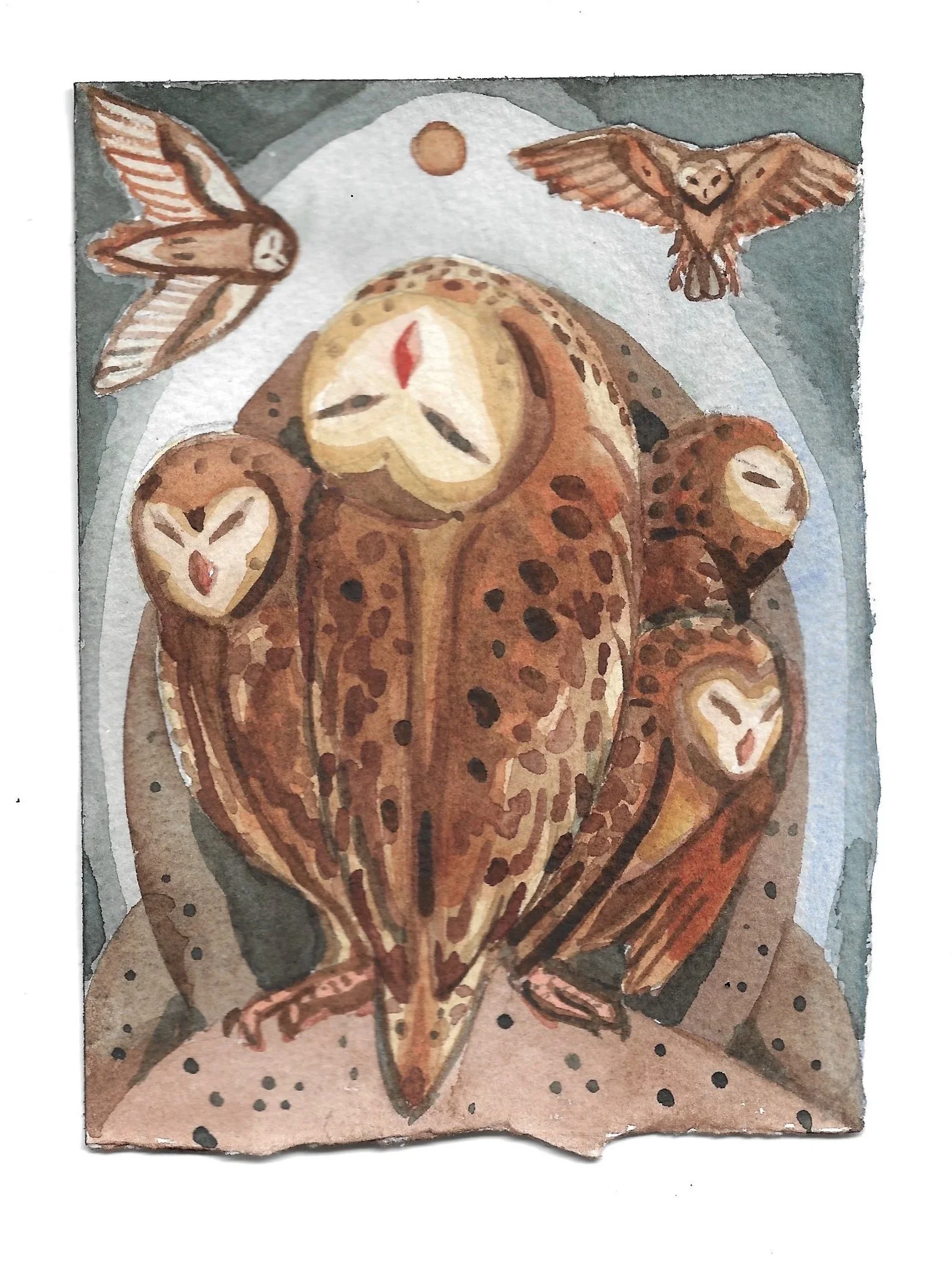 ︎⧫︎• 27 ⧫︎• buraqueiras