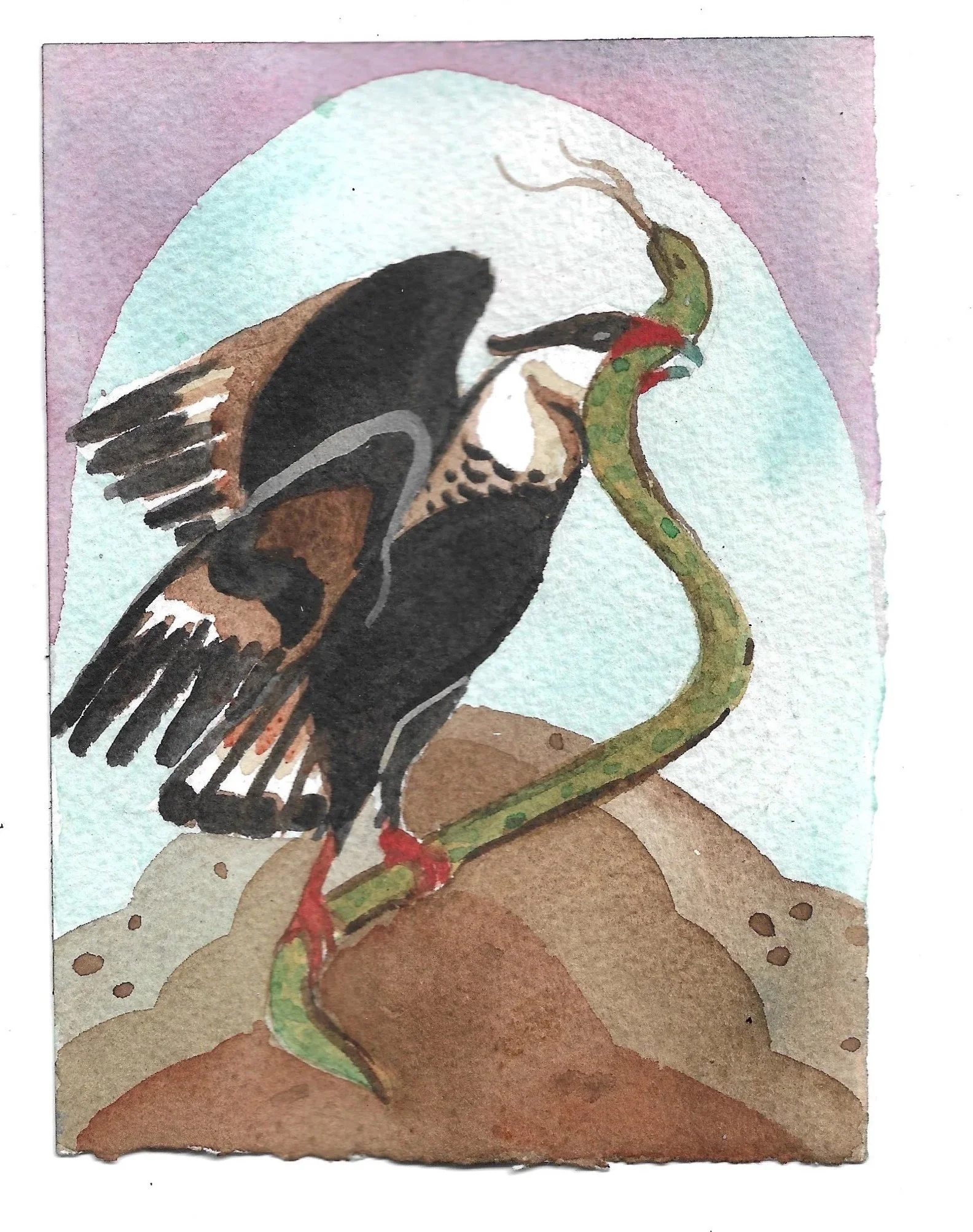 ⧫︎• 30 ⧫︎• Carcará