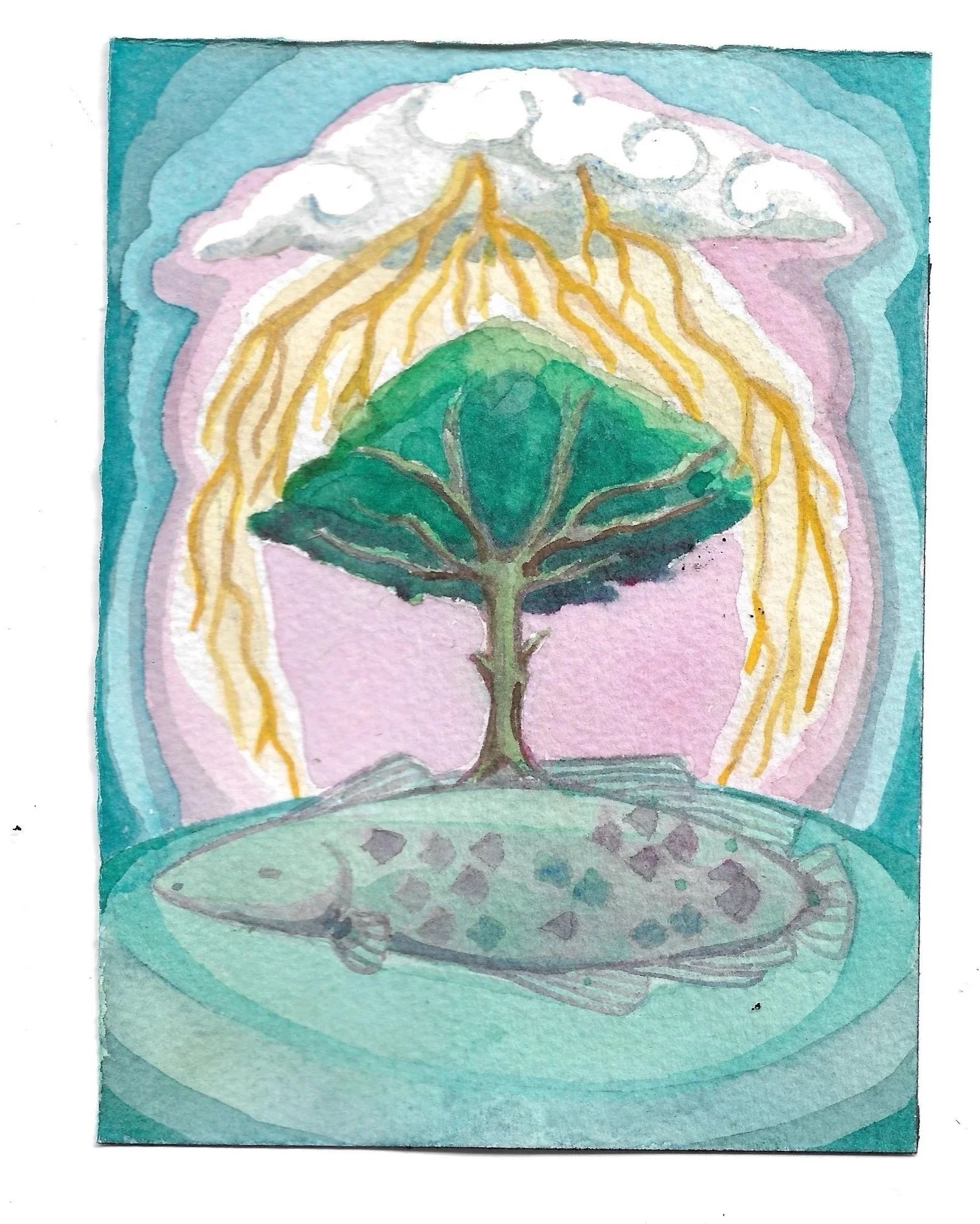  ︎⧫︎ 5 ⧫︎ pirarucu 