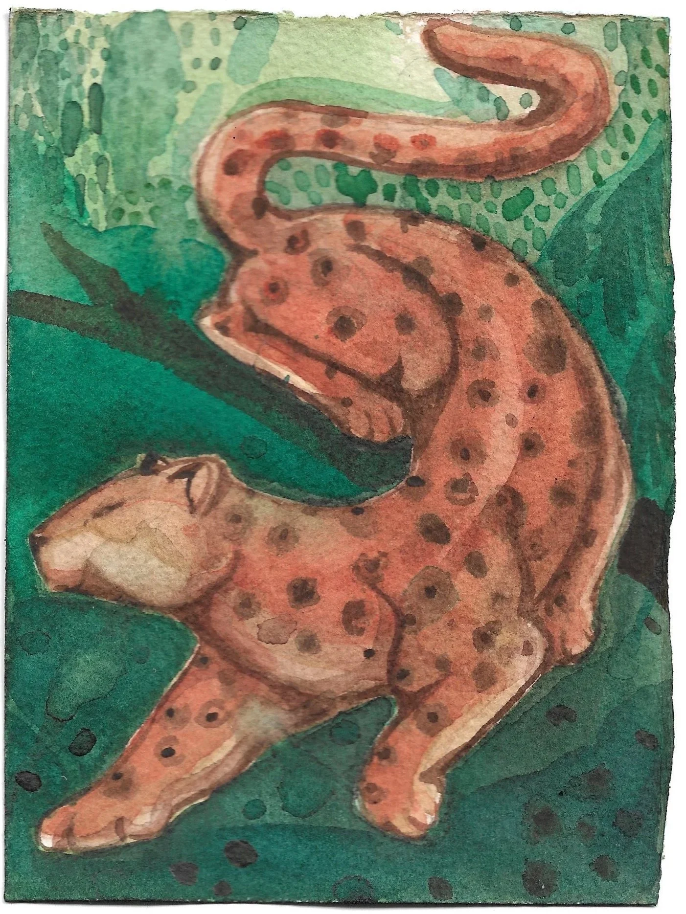 ✦ 10 ✦ Onça-Pintada, Guardiã e Espírito da Natureza