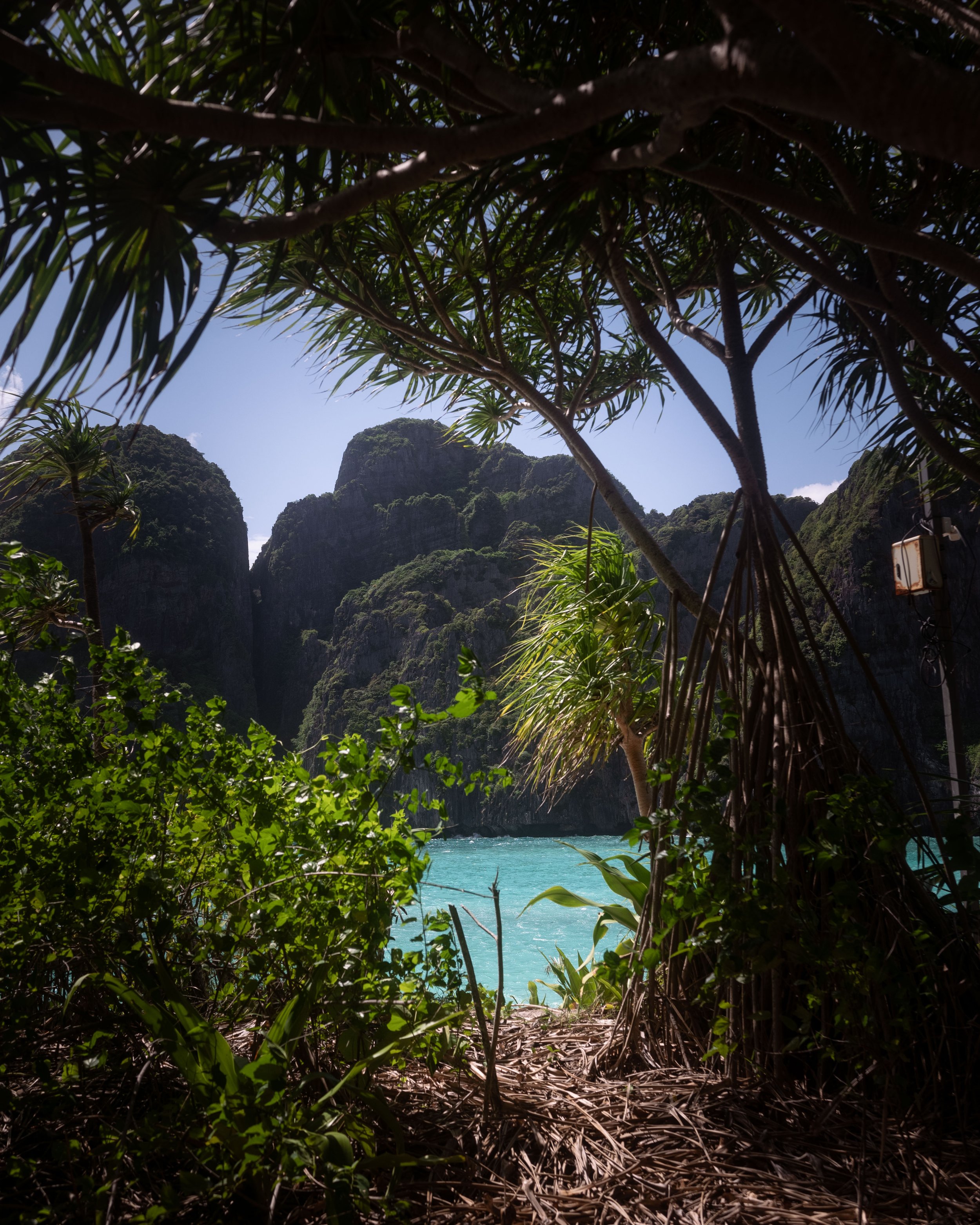 SE Asia 2024_0019.jpeg