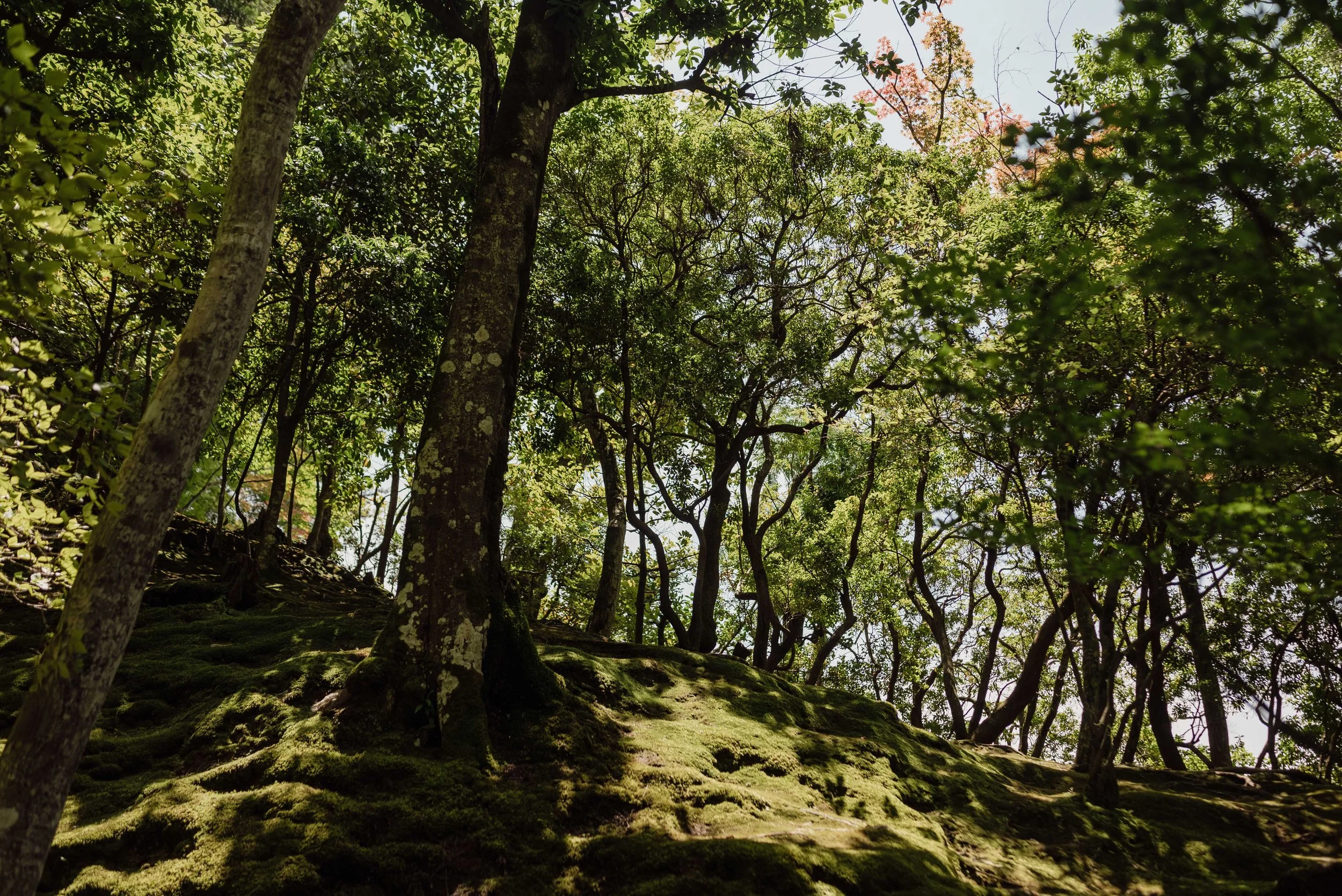 SE Asia 2024_0076.jpeg