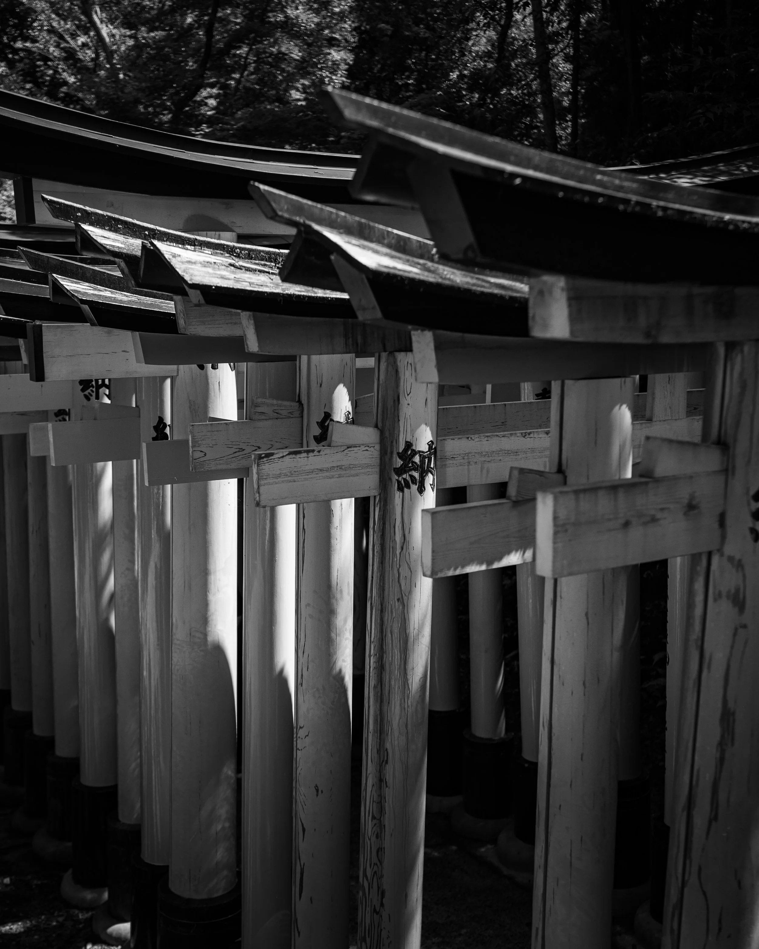 SE Asia 2024_0061.jpeg