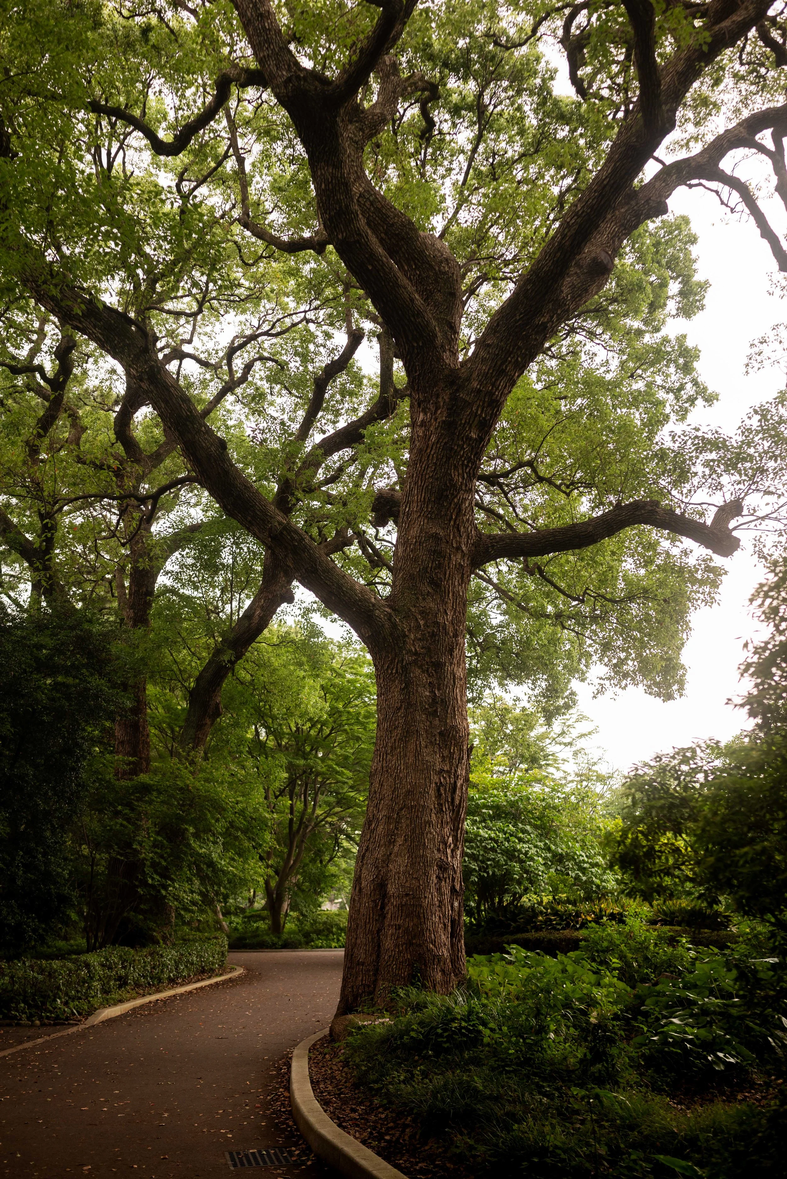 Tokyo 2024_0026.jpeg