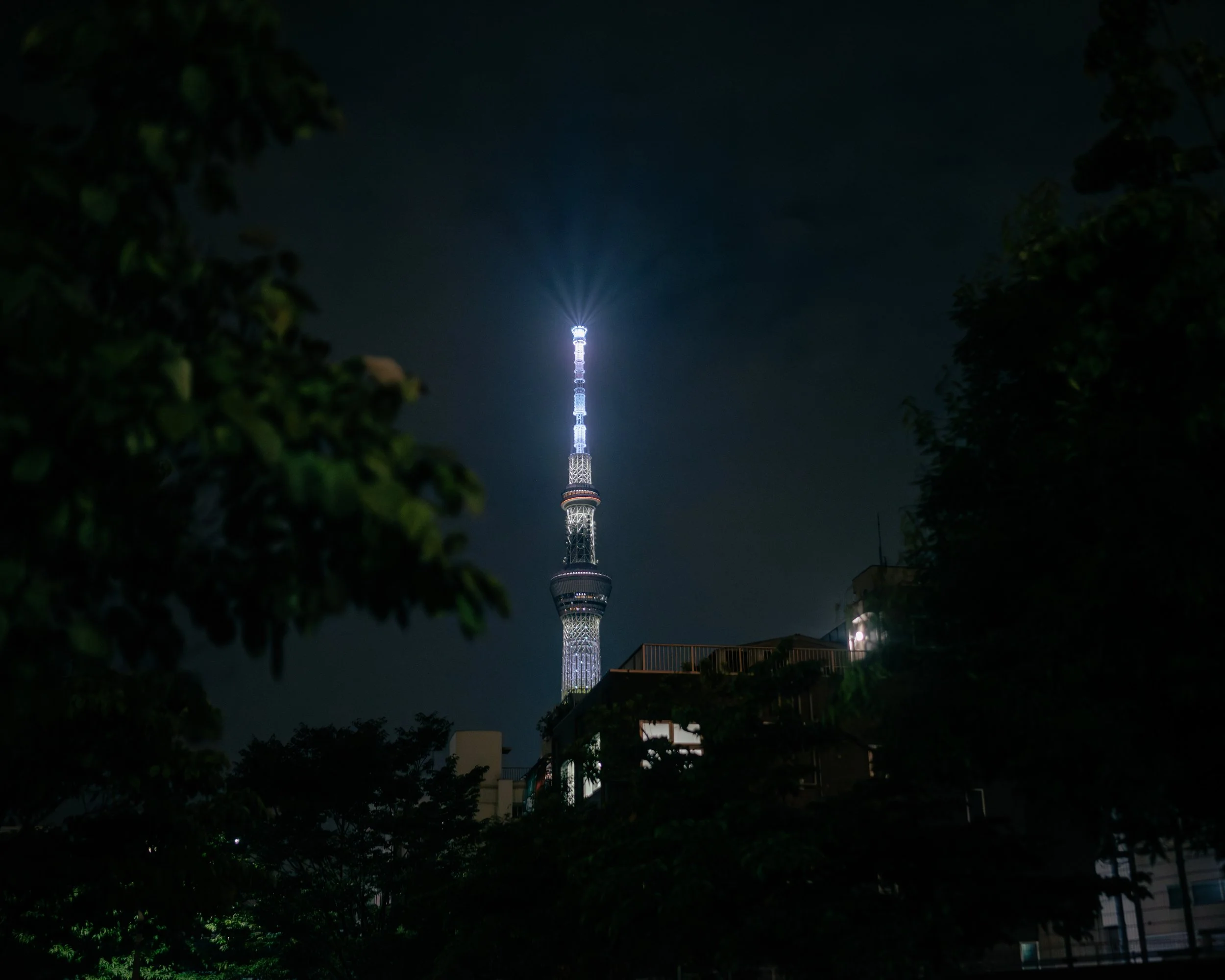 Tokyo 2024_0022.jpeg