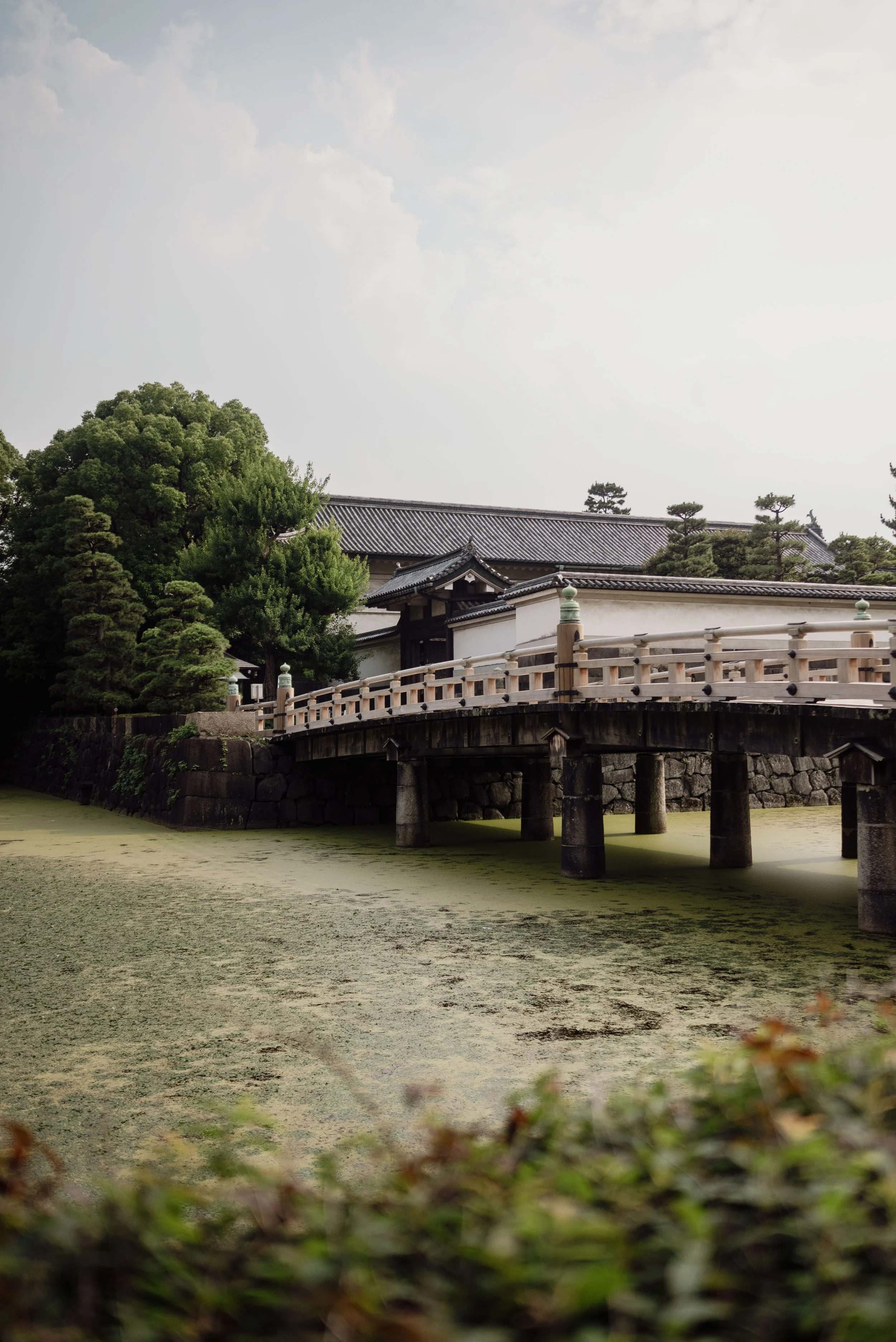 Tokyo 2024_0037.jpeg