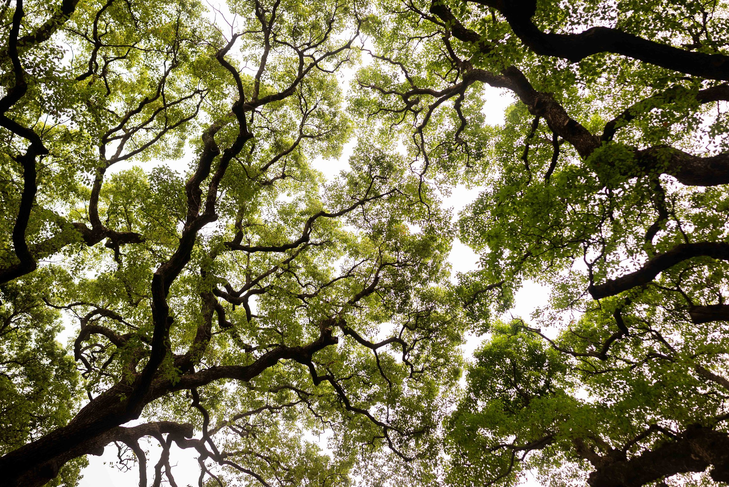 Tokyo 2024_0027.jpeg