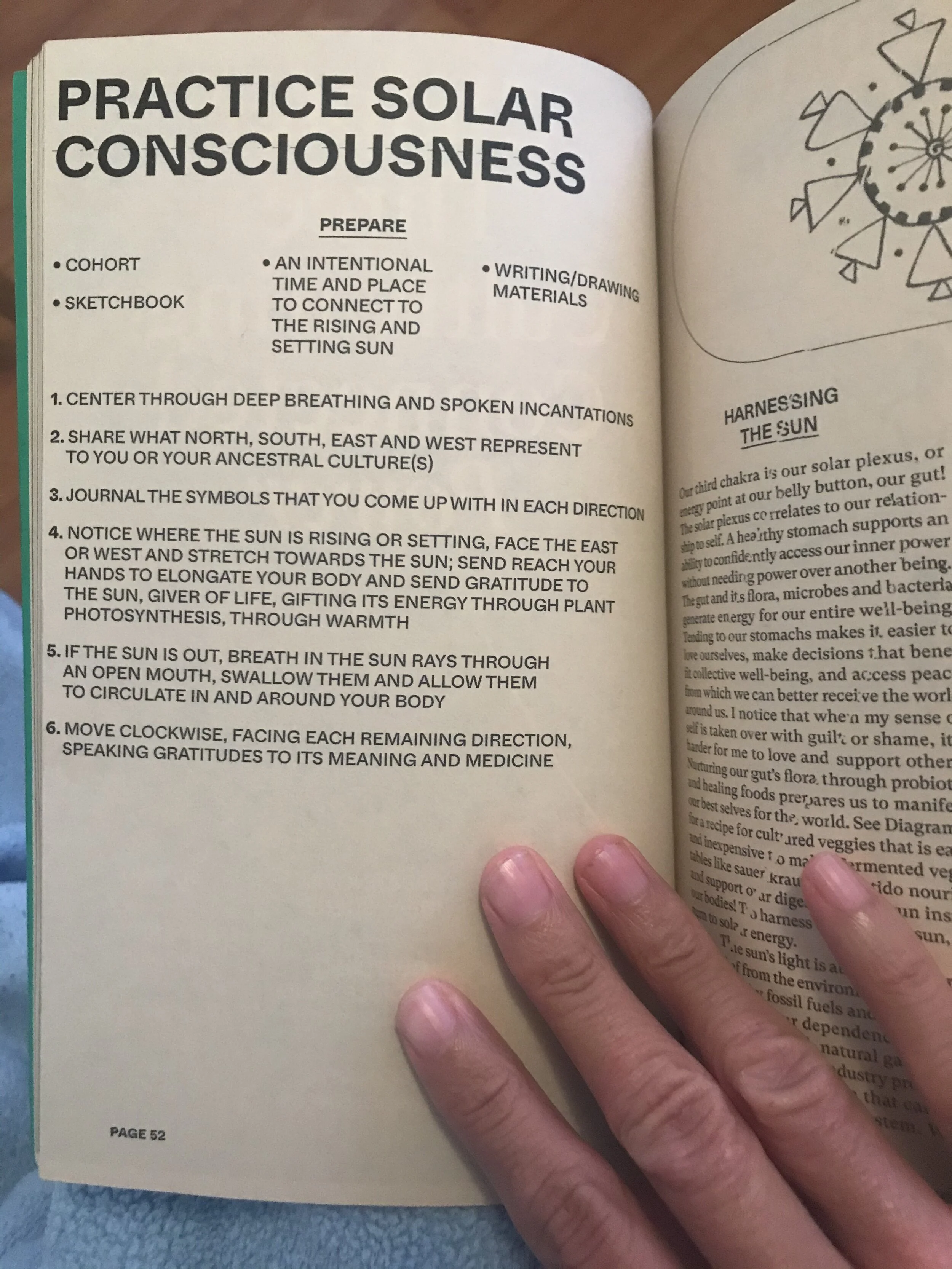 From A Textbook for the Ecocene by Sarita Dougherty