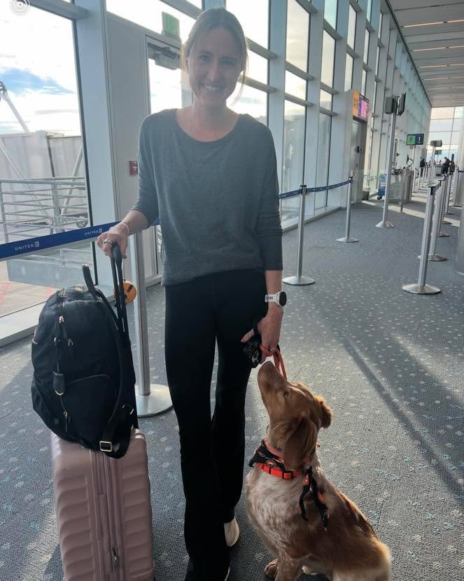 I can safely say that Otto is the nicest Brittany I have worked in 20 years of dog training. He has a strong desire to please and a calm, sweet demeanor. His owners needed help with his consistent pulling on leash, and wanted his off leash recall to 