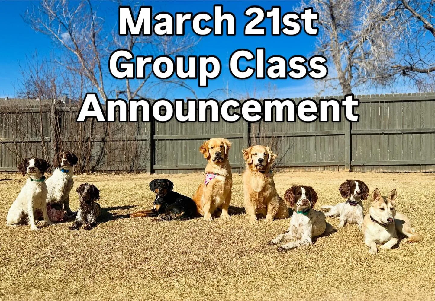 🚨 March Group Class Announcement! 🚨

Journey K9&rsquo;s next group class is happening Saturday, March 21st from 2&ndash;3pm at Orchard Town Center 🐾

This month we&rsquo;re leveling up.

We&rsquo;ll be working your dogs around real-world, urban di