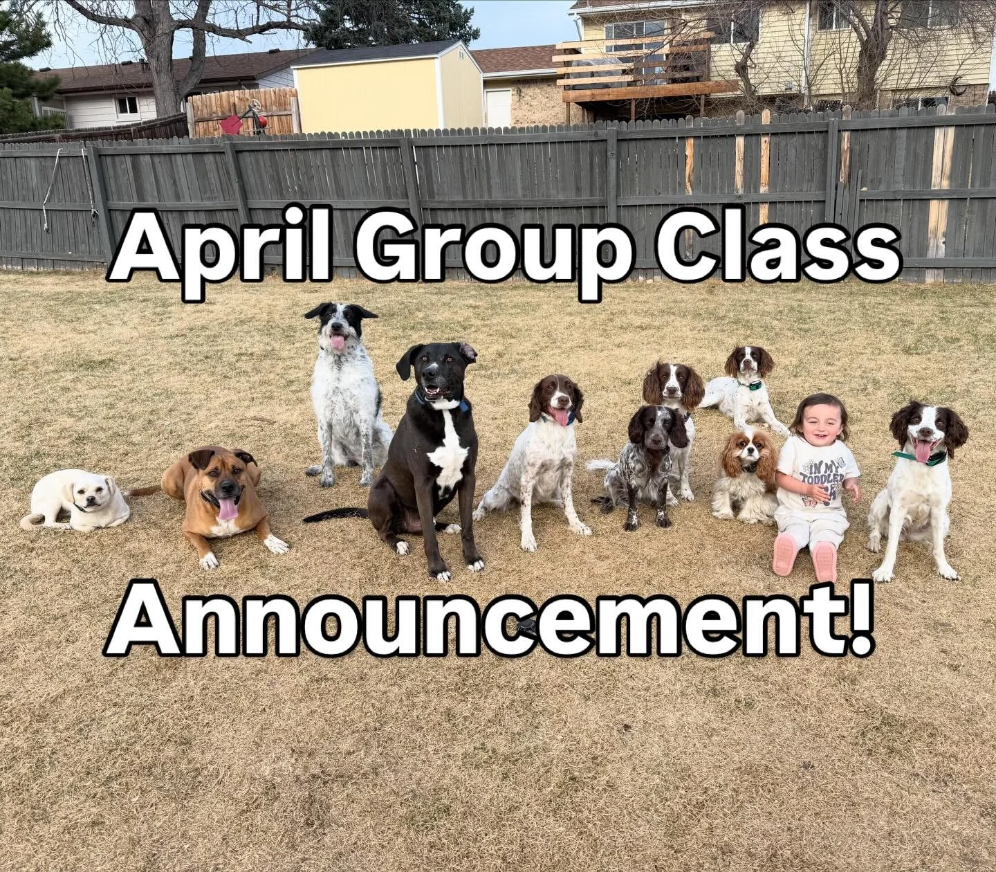 Alright folks, here is the group class schedule for April: 

Saturday April 11th, 2-3pm @ Waneka Lake, Lafayette

Saturday April 25th, 9-10am @ Sloans Lake, Denver
(This is a much busier location than Waneka and will be great for dog reactivity and h