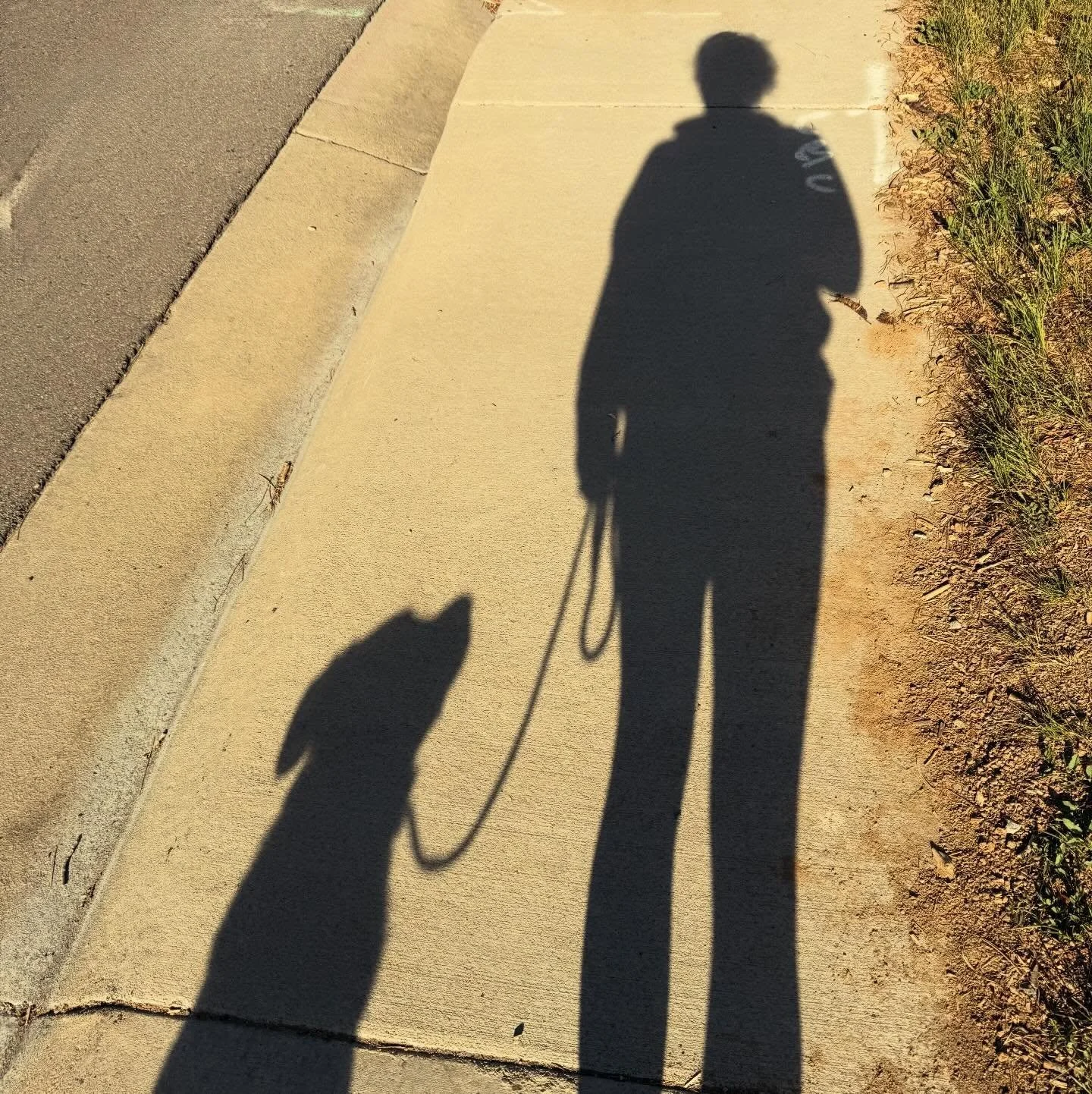 What story does the shadow of you and your dog tell?

Is there tension&hellip; or quiet understanding?
Are you connected&mdash;or just attached by a leash?

Because the leash never lies.
It reflects the relationship behind it.

Real training creates 