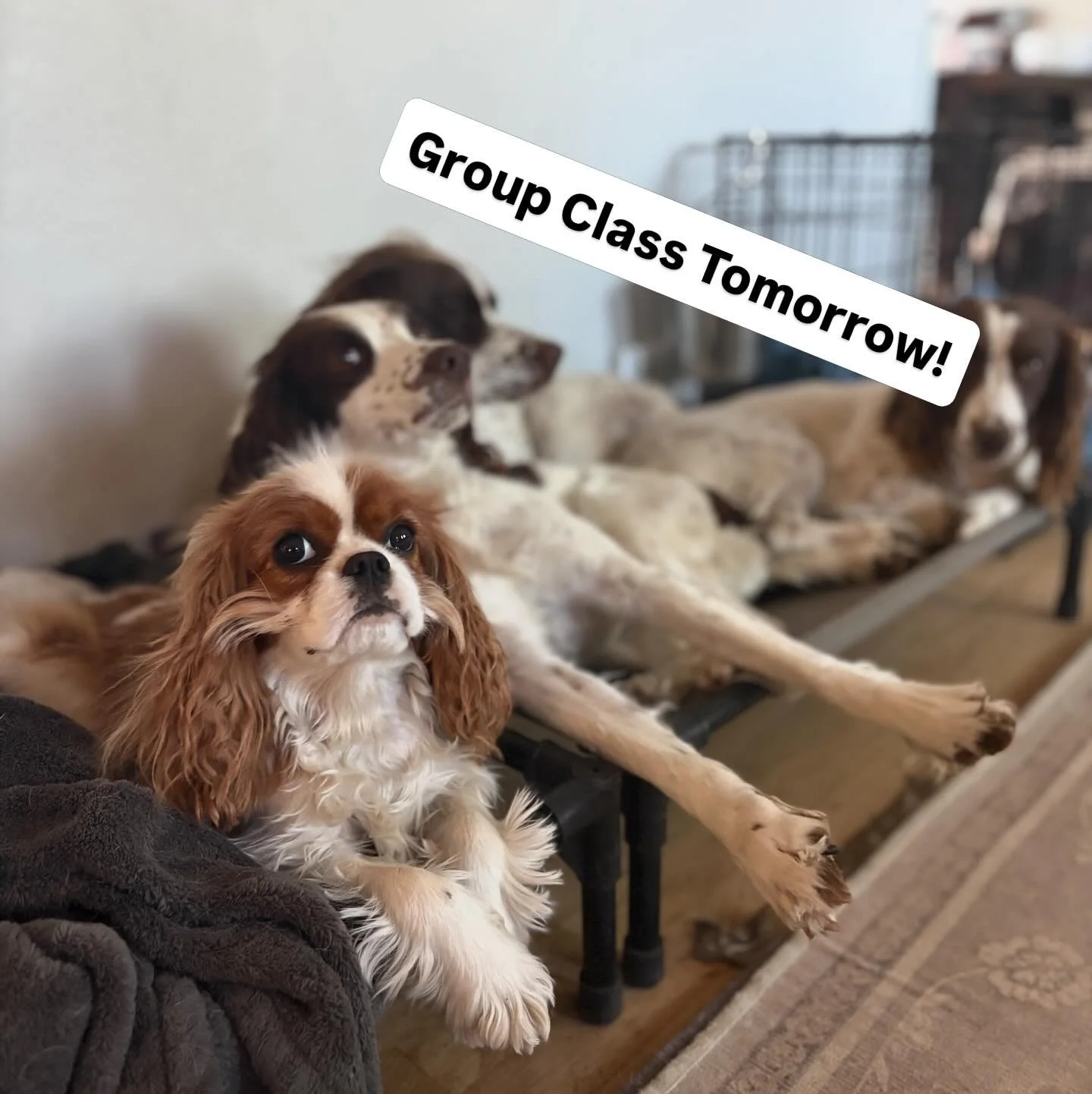 We have a few spots available for Group Class tomorrow morning, 9-10am at Sloans Lake in Denver! 

Text Kolleen at 703-598-2778 if you&rsquo;d like to join!